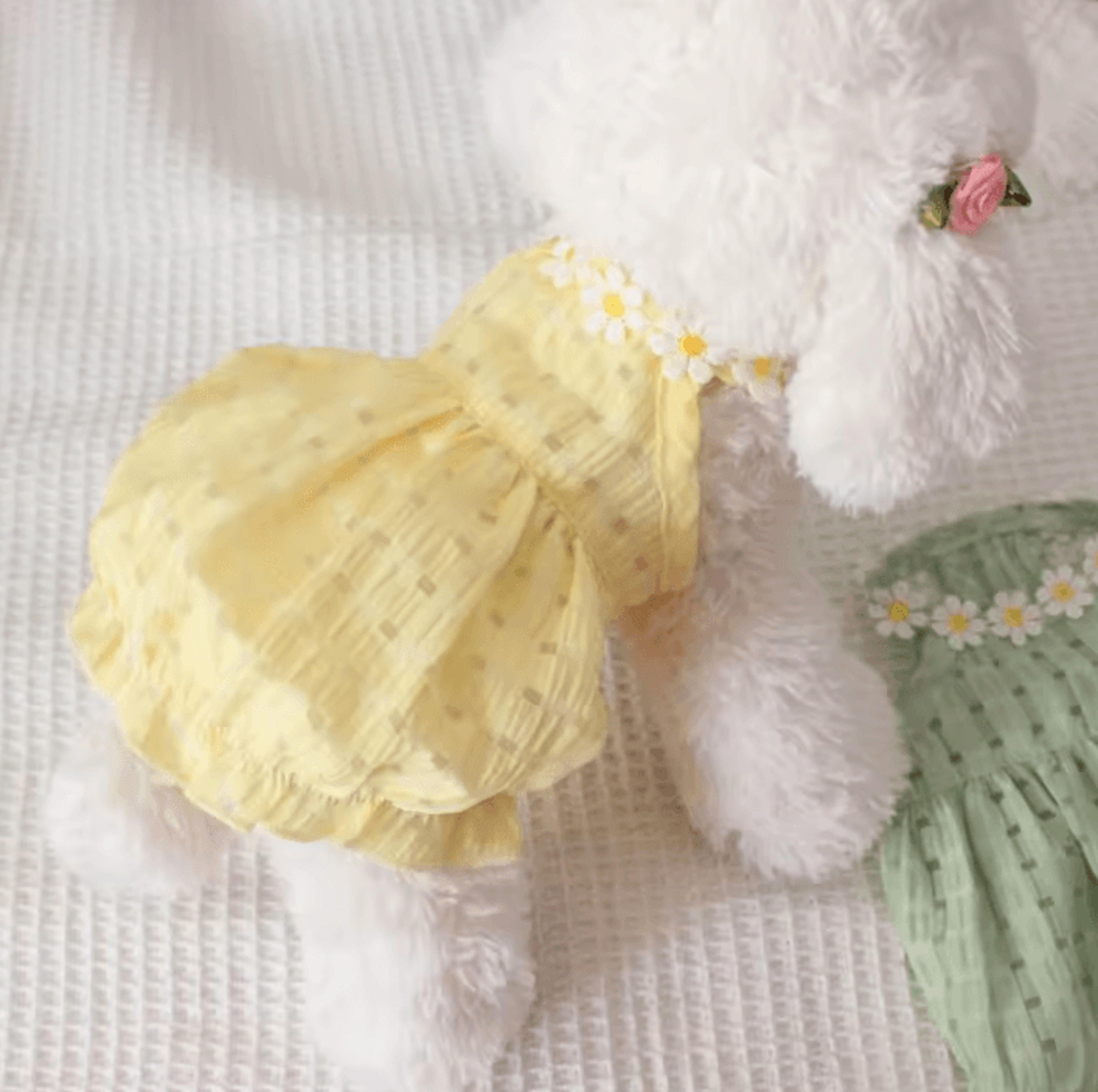 floral green tutu dress for small dogs and cats