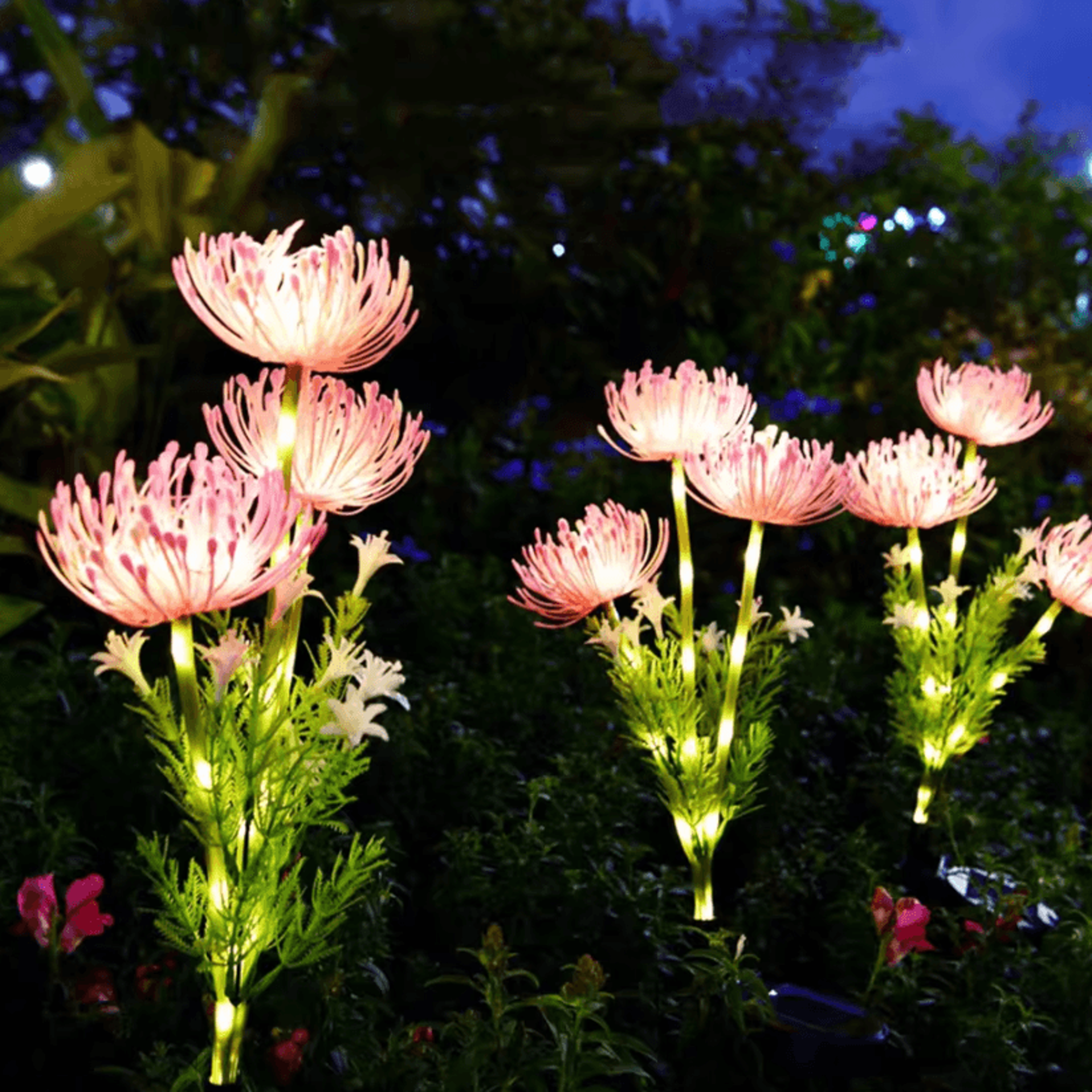 solar bloom outdoor garden lights