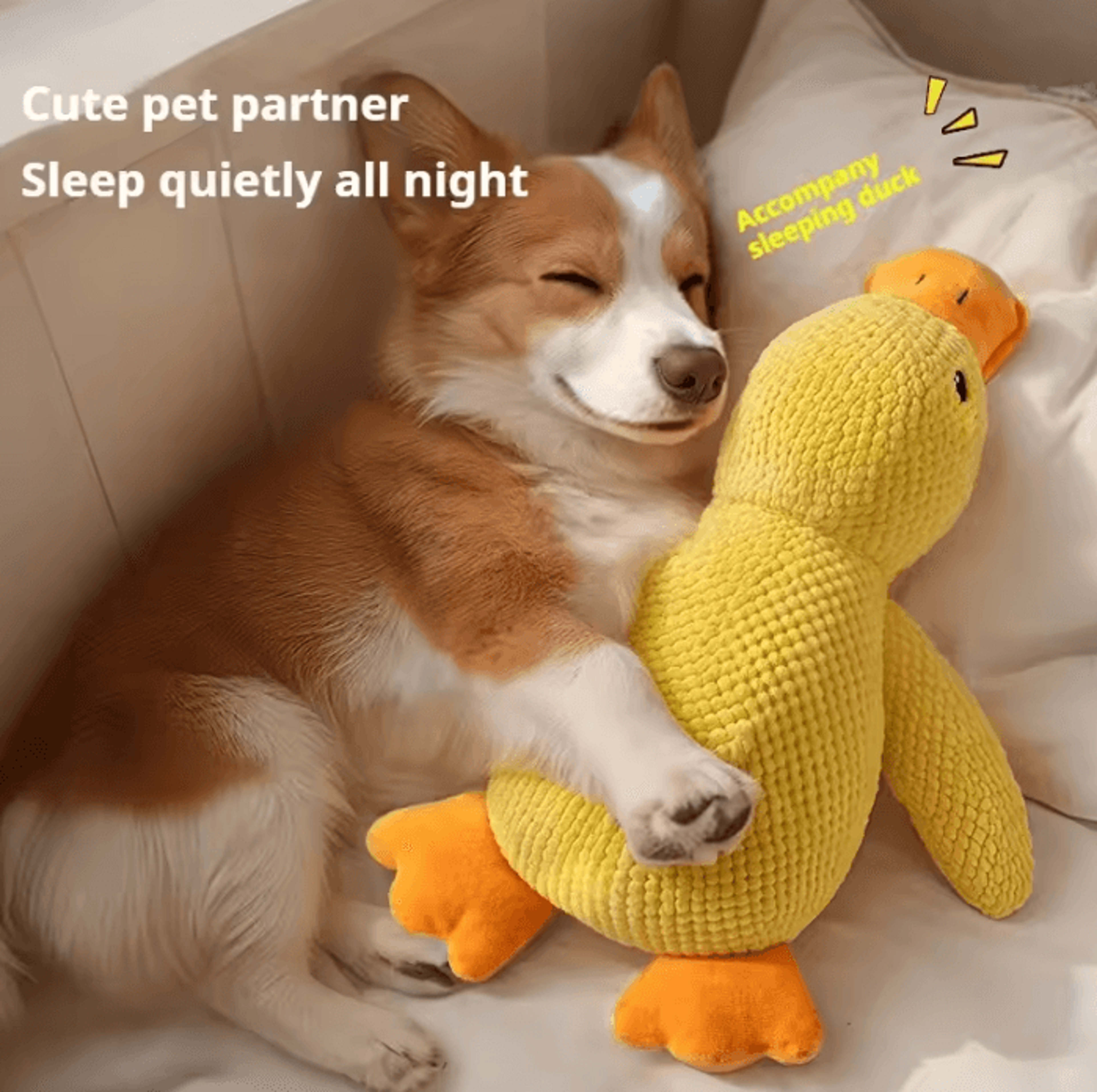 quackbuddy plush squeaky duck dog toy
