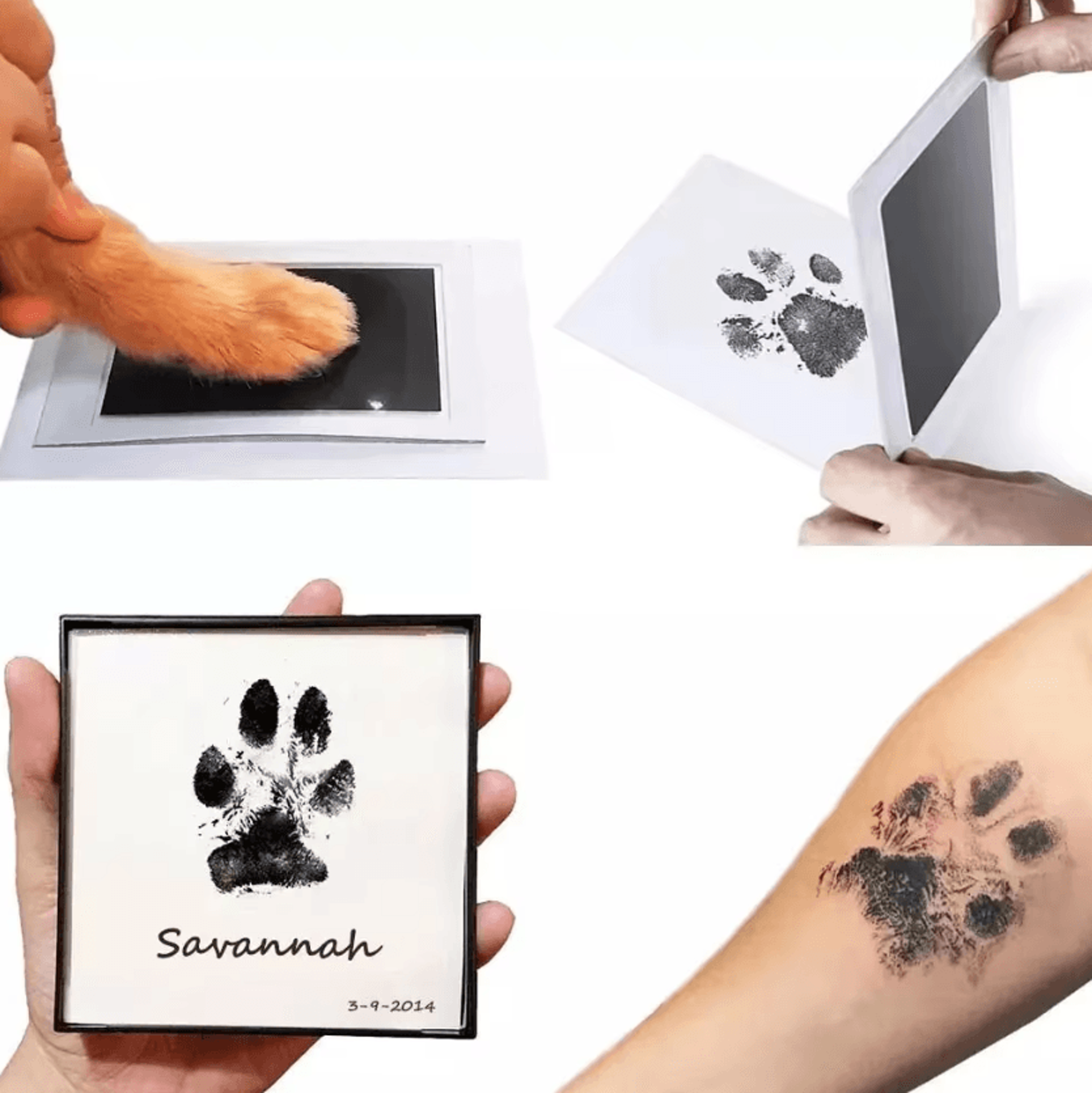 pawmemory clean touch inkless pet paw print keepsake kit