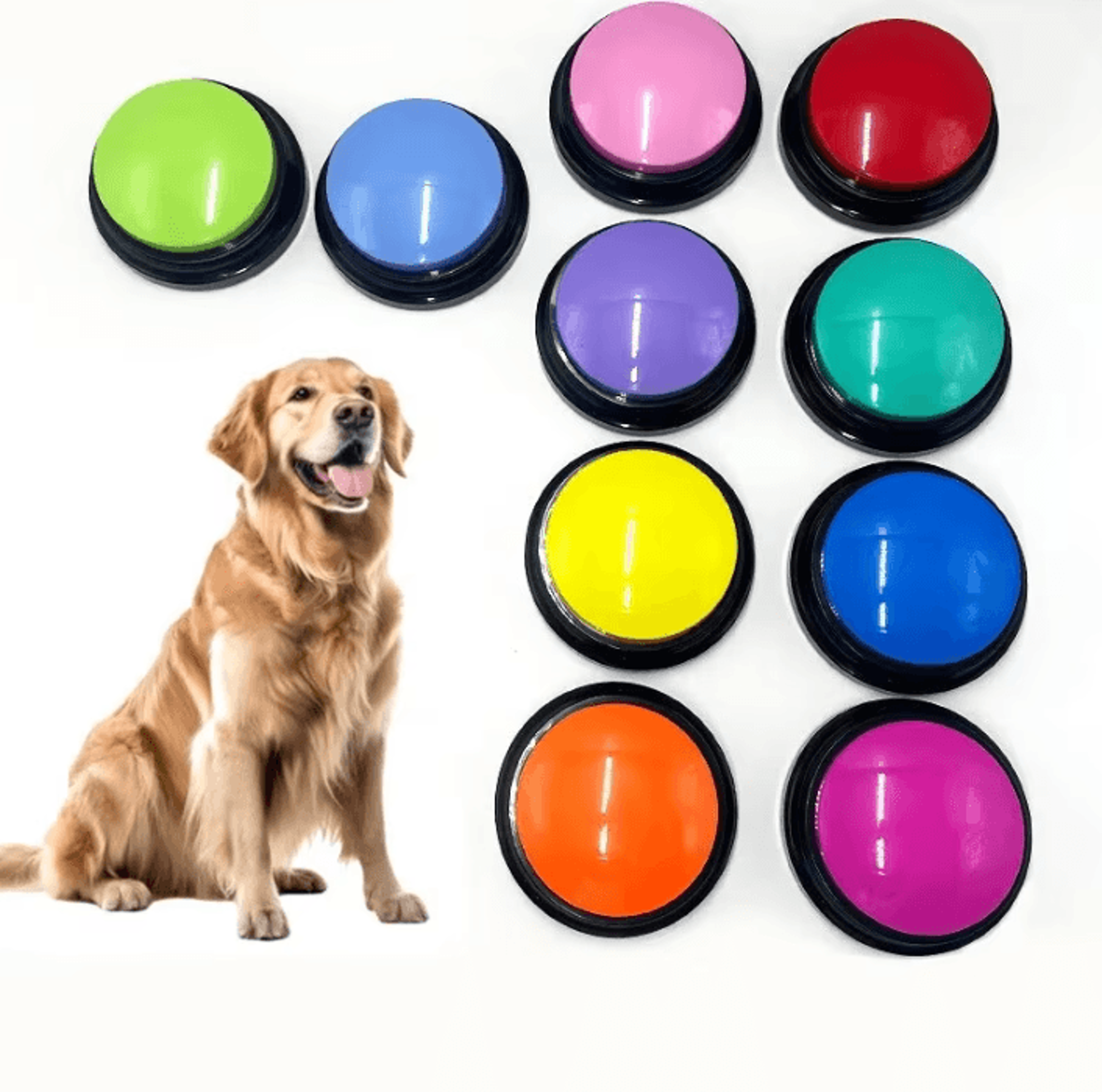 pawtalk recordable pet communication button