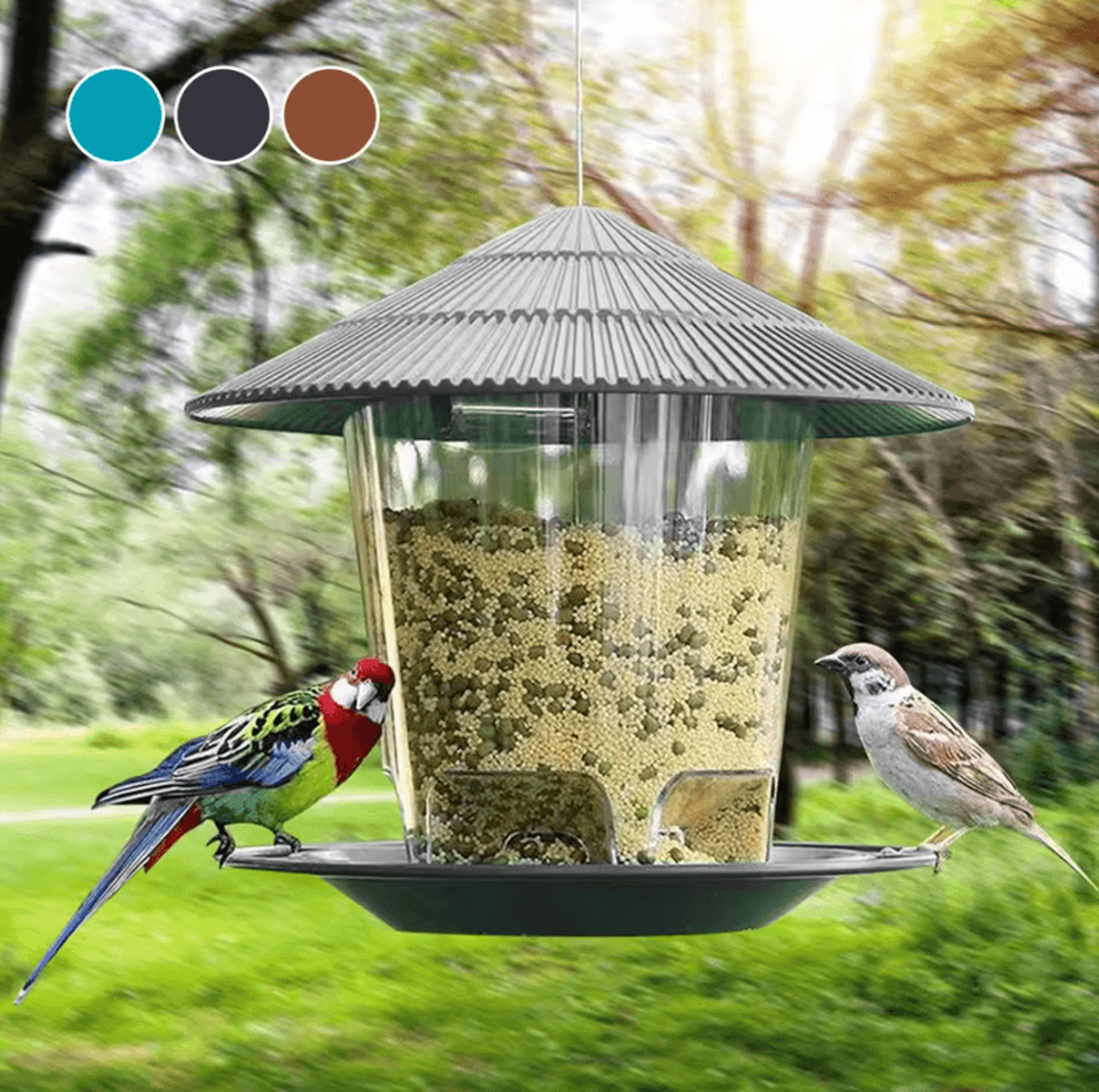 outdoor hanging bird feeder with multi-hole seed dispenser