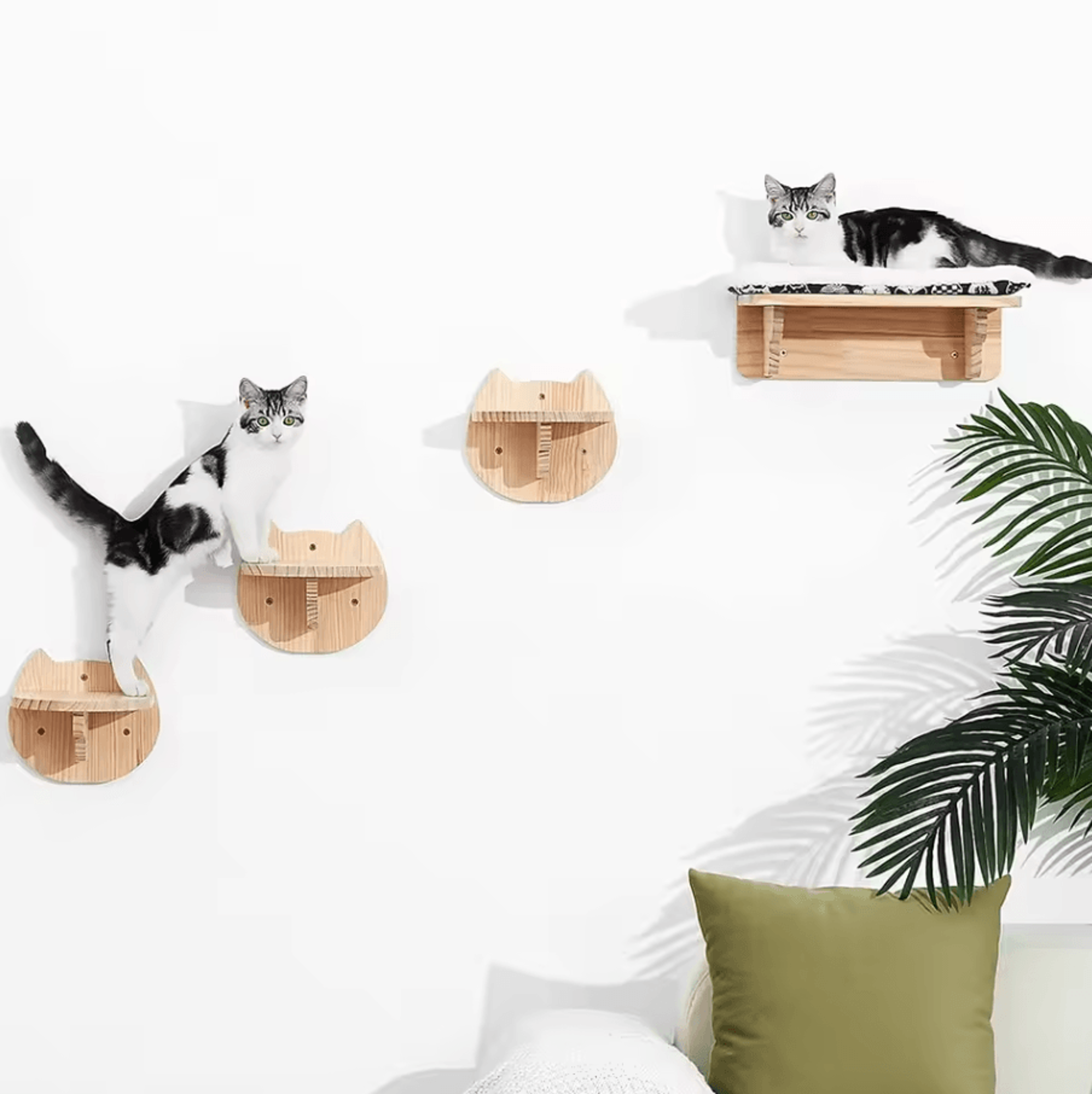 wall mounted cat shelves with hammock sisal scratching post and climbing ladder