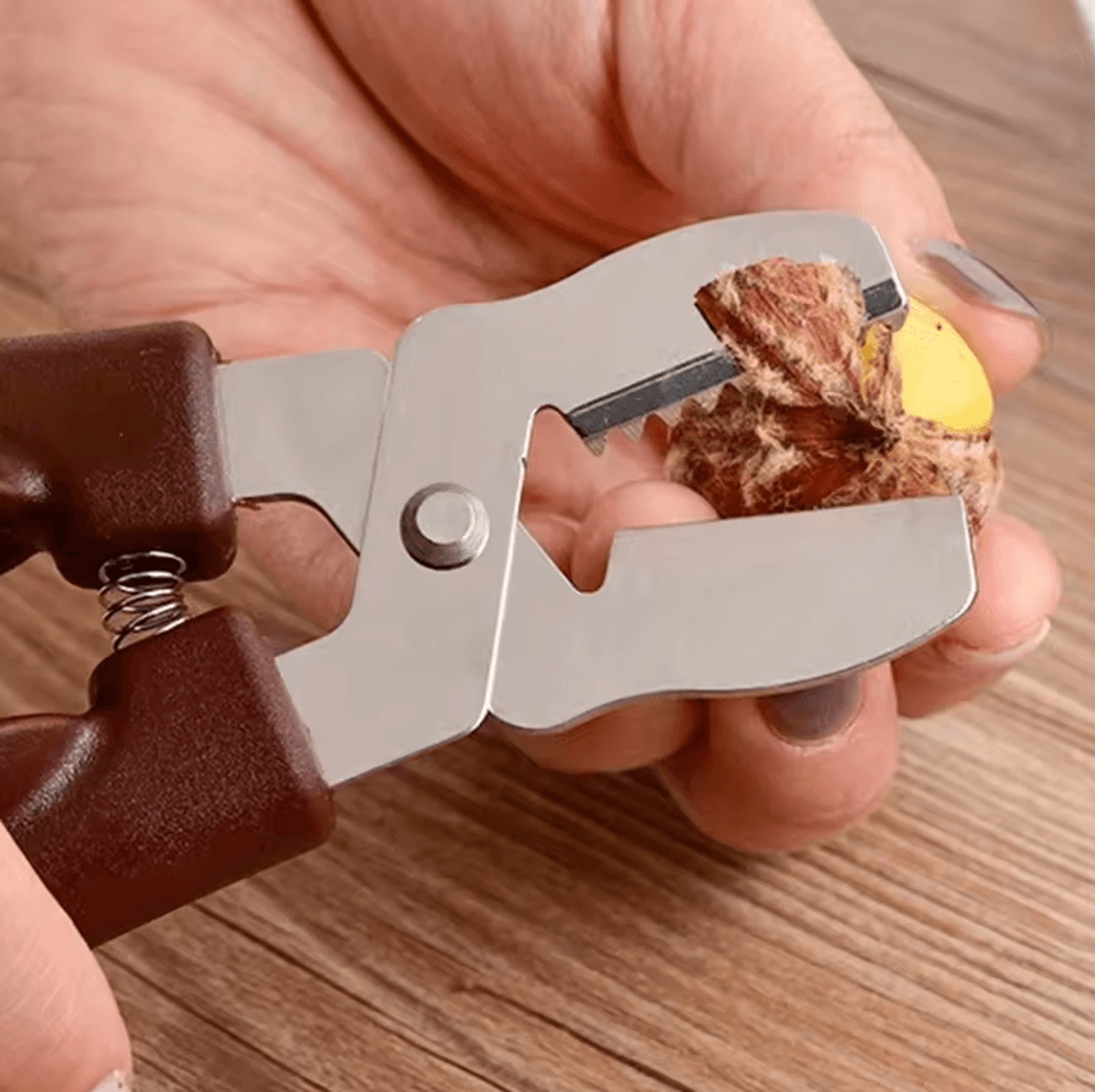 stainless steel easy-grip chestnut and nutcracker tool for kitchen & dining