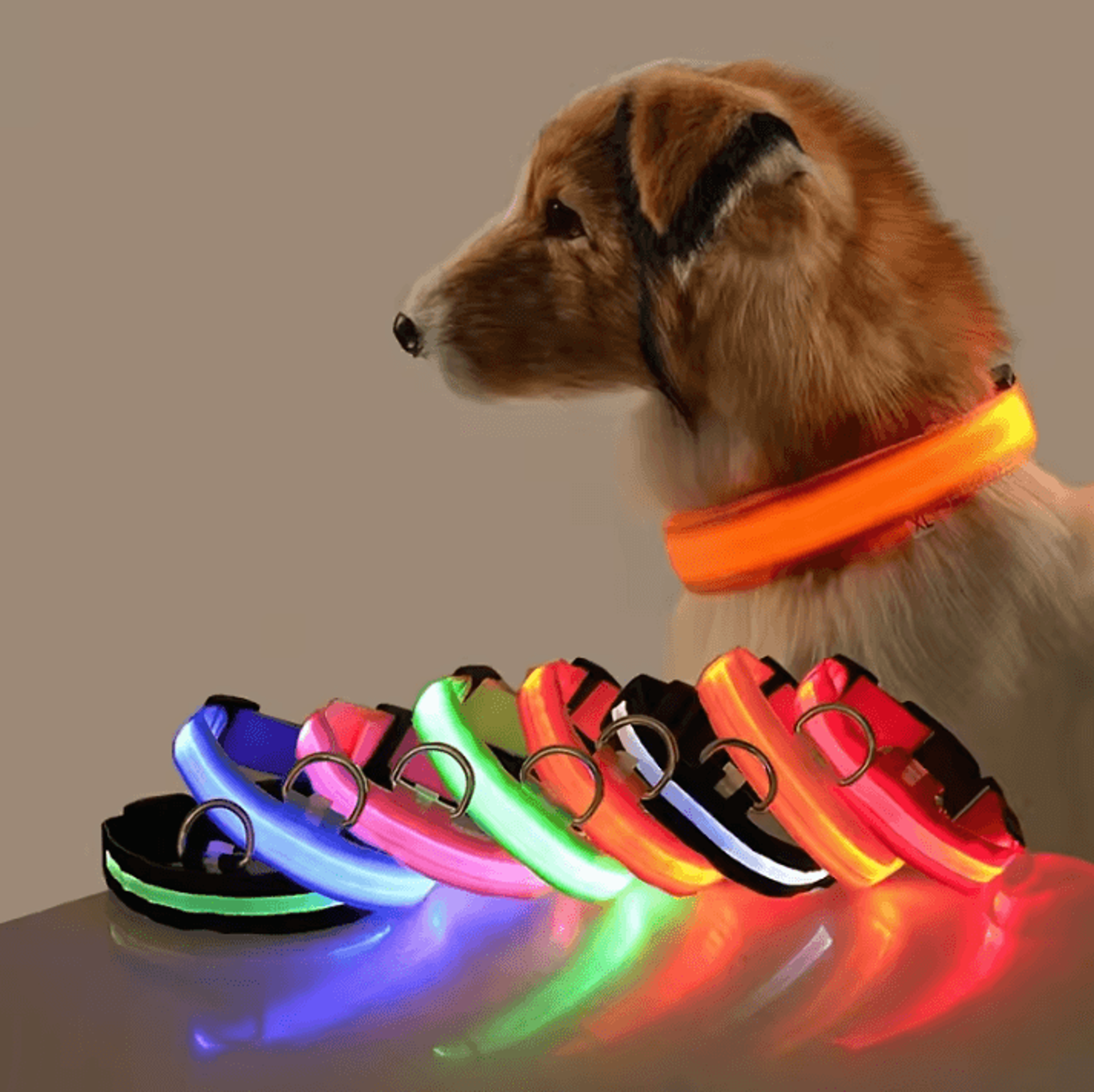 nylon luminous dog leash and glow in the dark dog collar – led safety pet leash for night walking