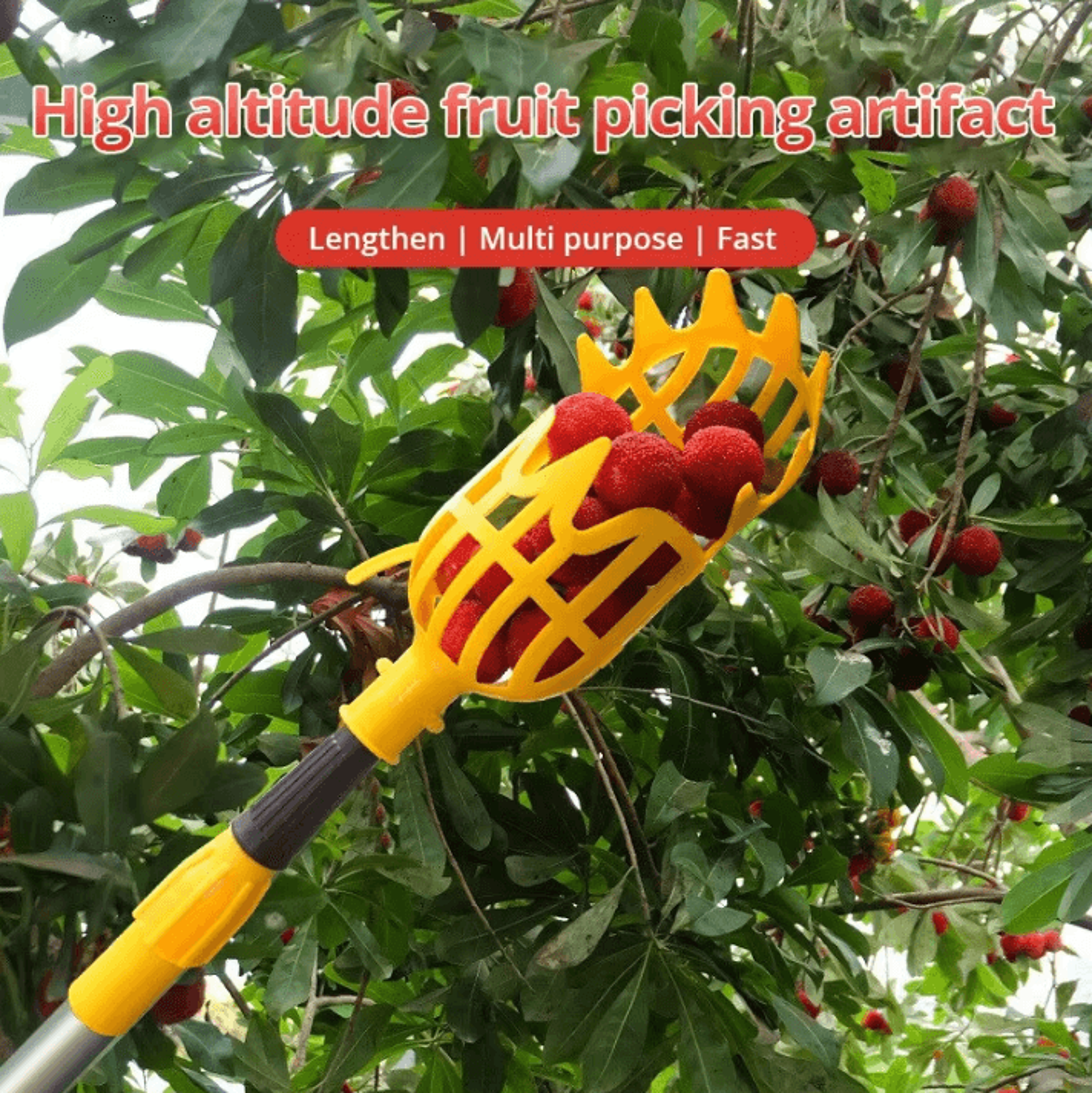garden fruit picker tool with deep basket – easy orchard & yard harvesting