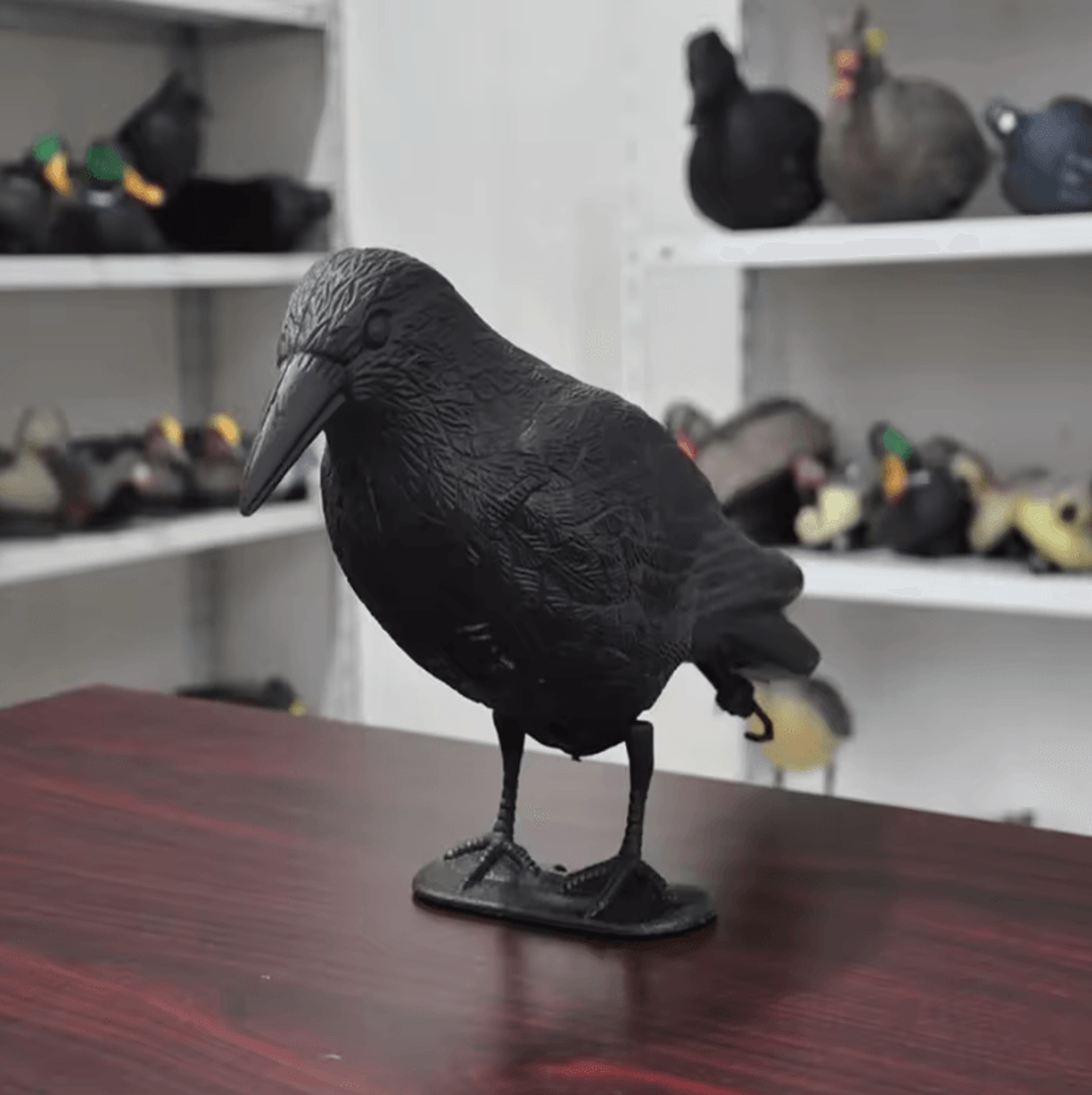 outdoor garden bird repellent raven decoy – black simulation crow decoration for pest control and pigeon deterrent