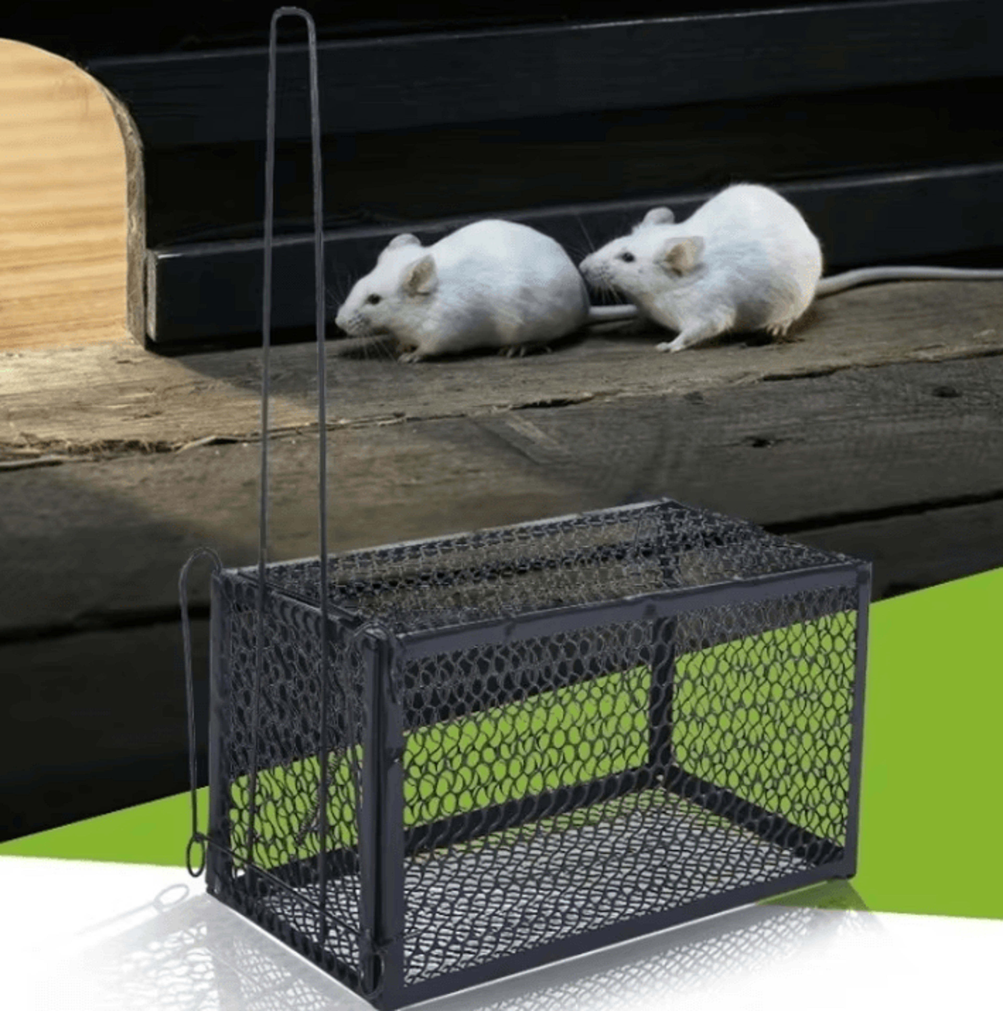 smart self-locking mousetrap – reusable metal rat trap & humane mouse catcher for indoor outdoor