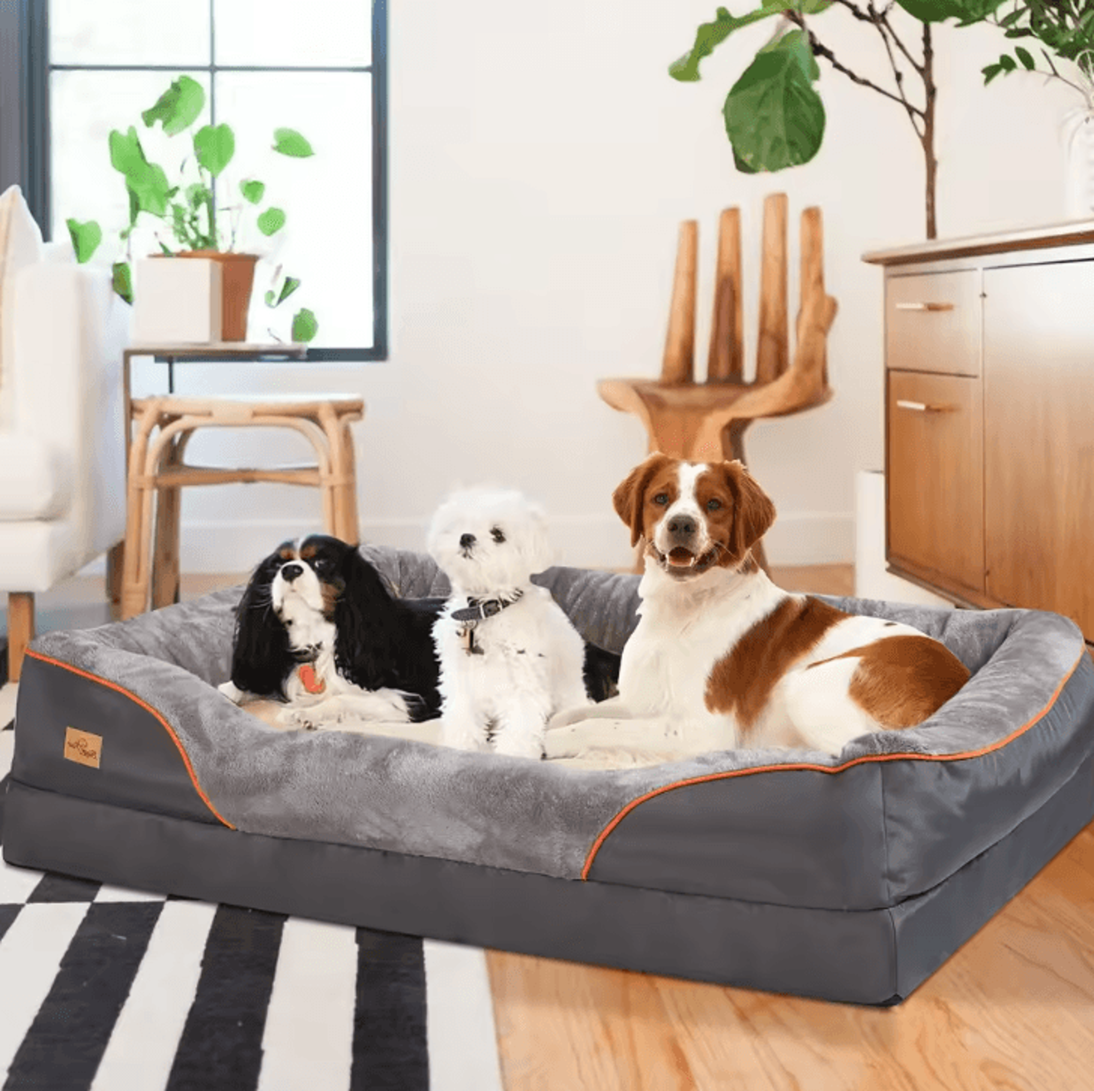 orthopedic dog bed with cotton-padded bolster – super soft pet sleeping mat with removable cover (l–3xl)