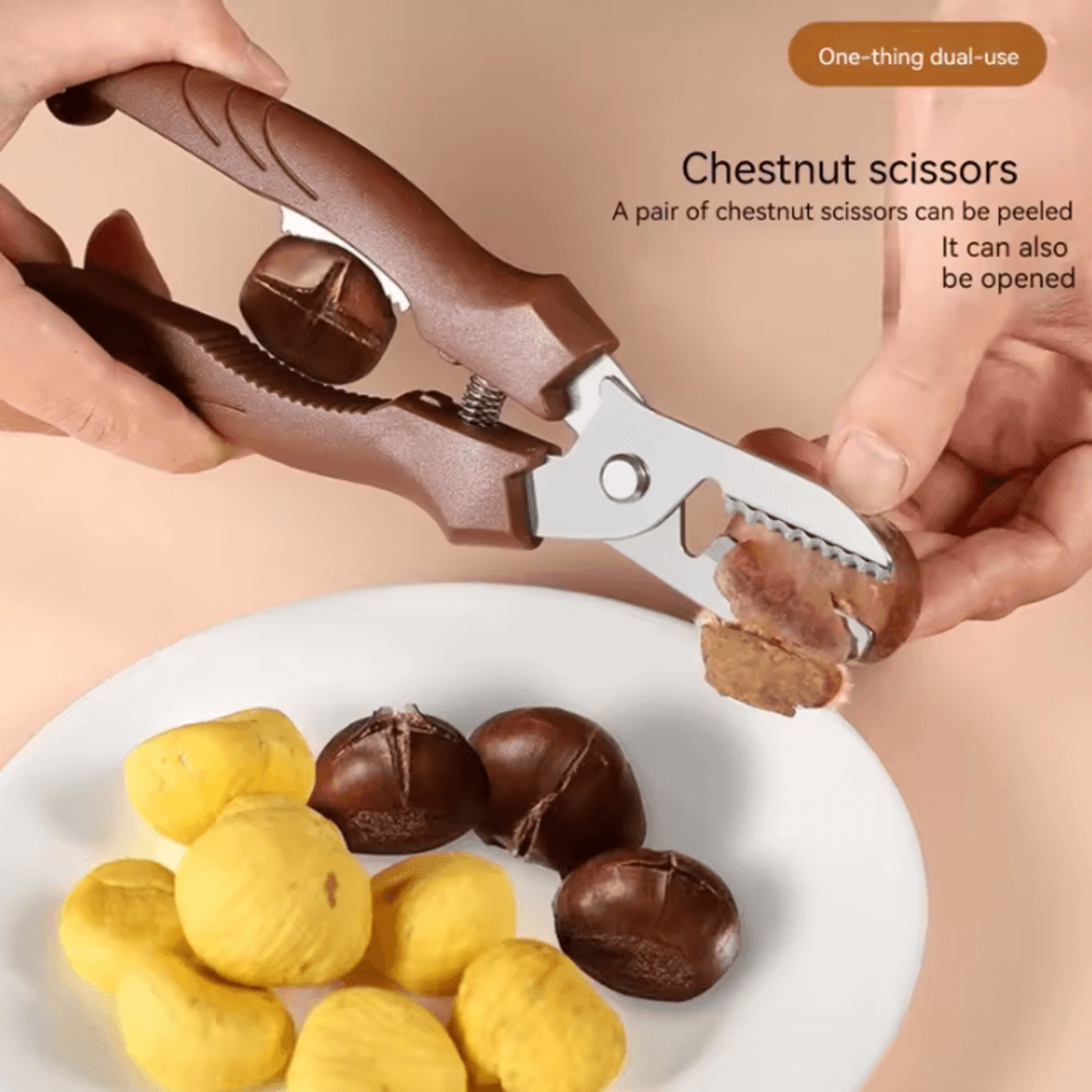 multipurpose stainless steel chestnut cutter scissors – cross-cut chestnut peeler & nut shell opener