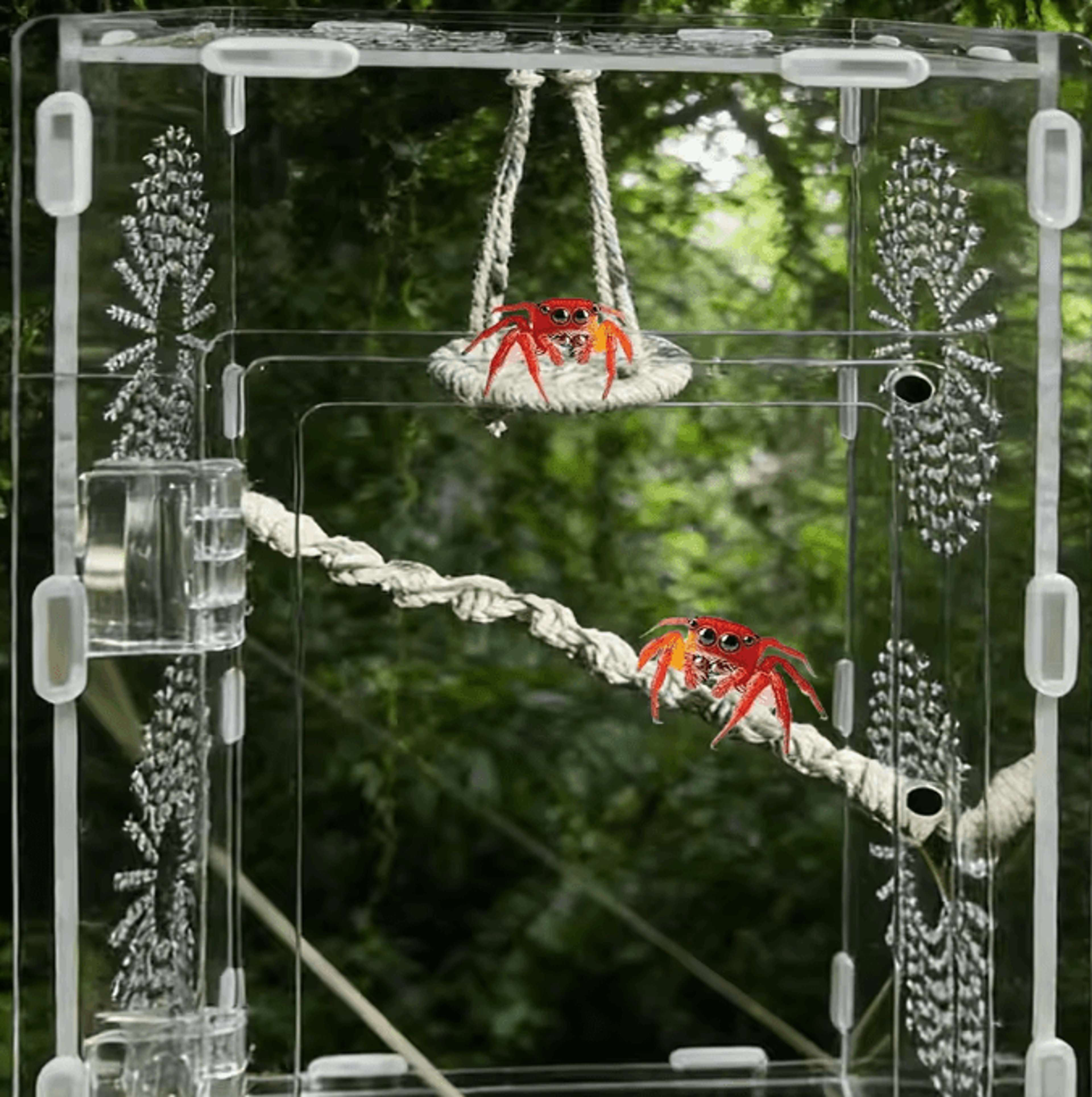 jumping spider rope bridge ladder – climbing habitat decor for gecko, hermit crab & reptile enclosures