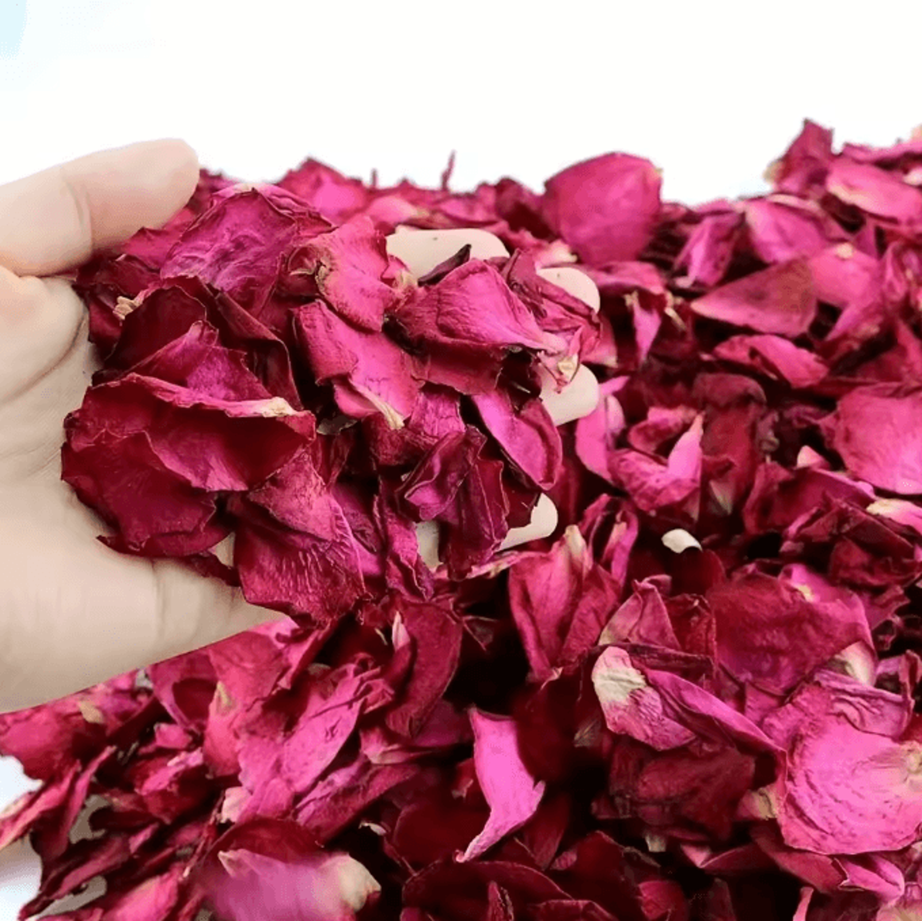 natural dried rose petals for aromatherapy bath spa and wedding decoration