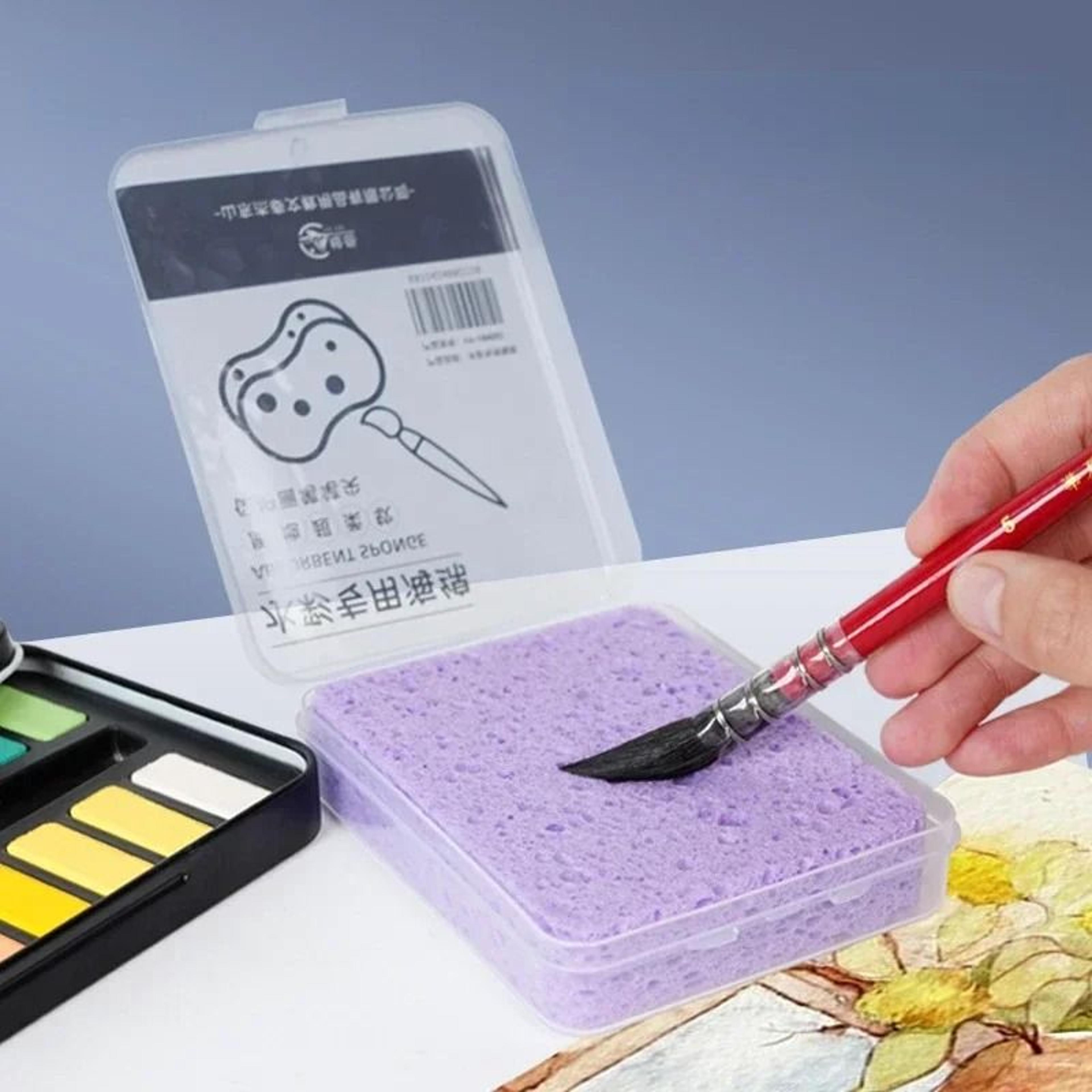 watercolor painting cleaning sponge set