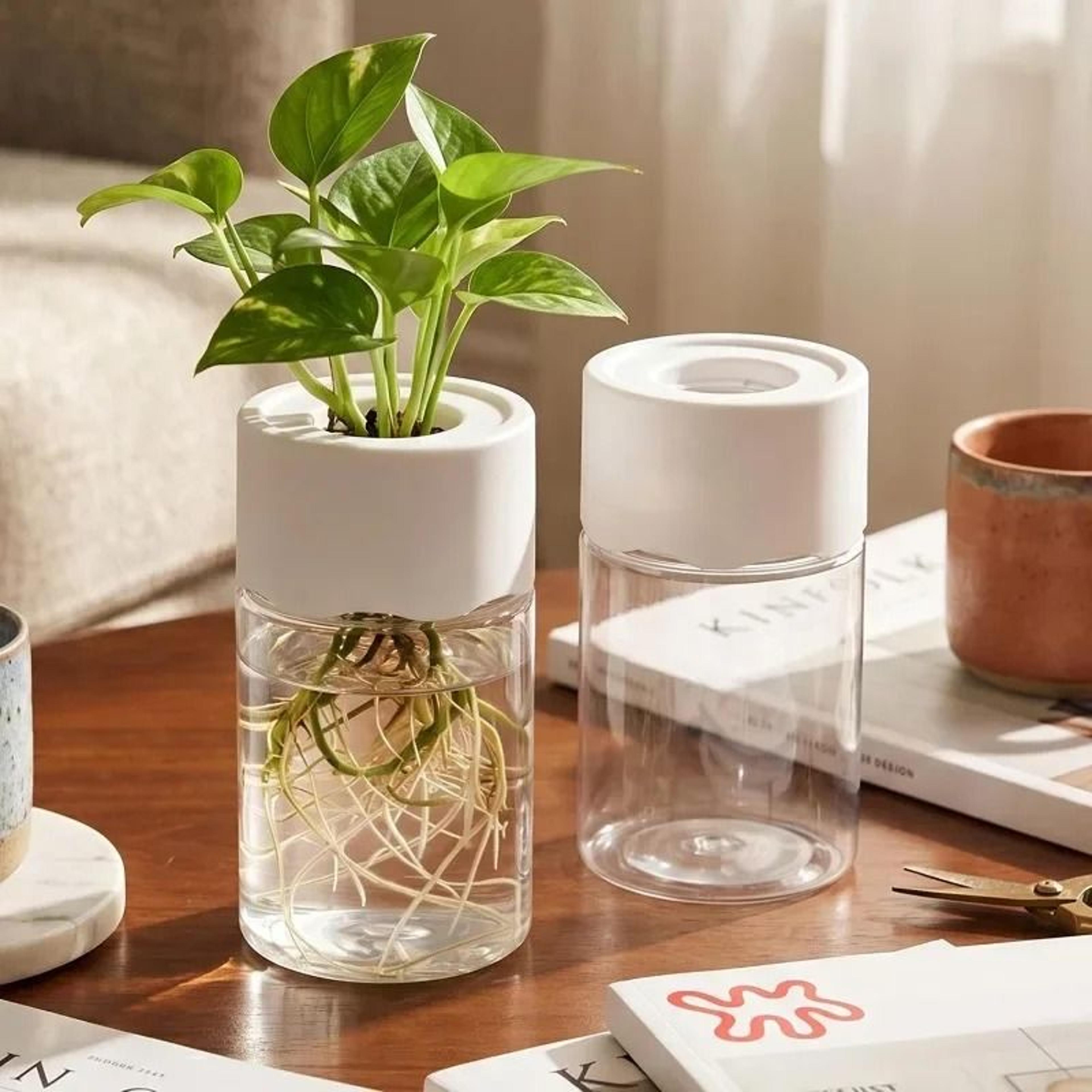 mini hydroponic planter vase for indoor plants, flowers and home decor