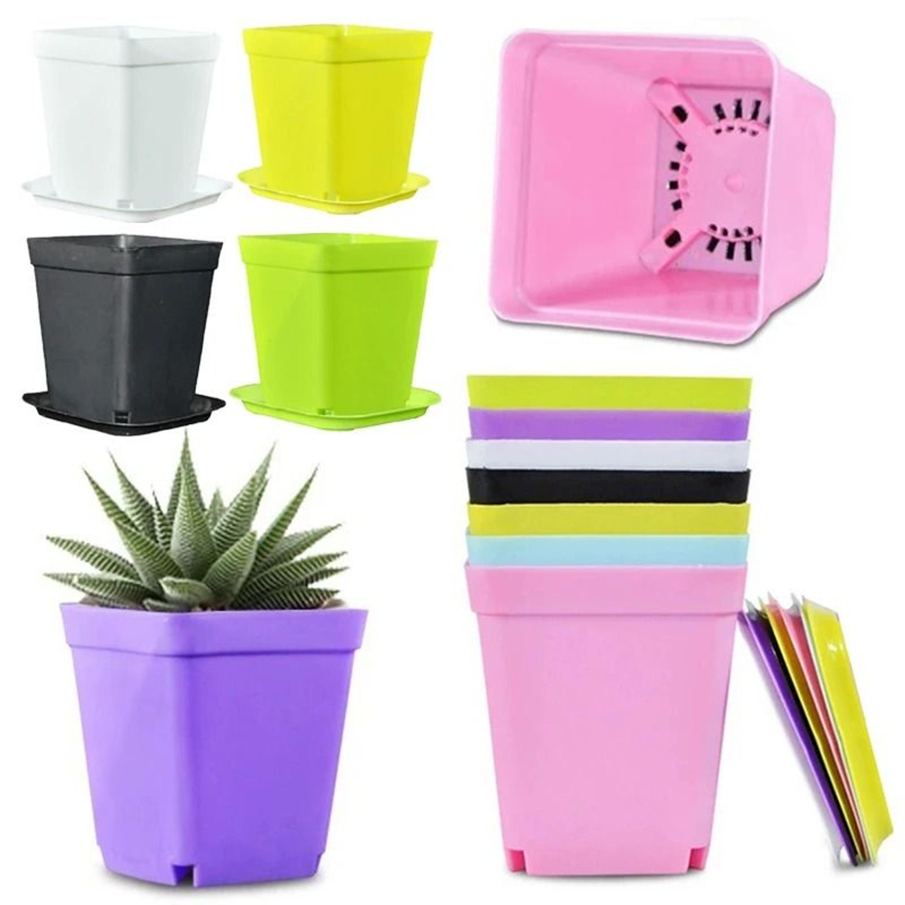 20 piece mini colorful succulent plant pots set indoor outdoor planters with drain trays for cactus herbs and small flow