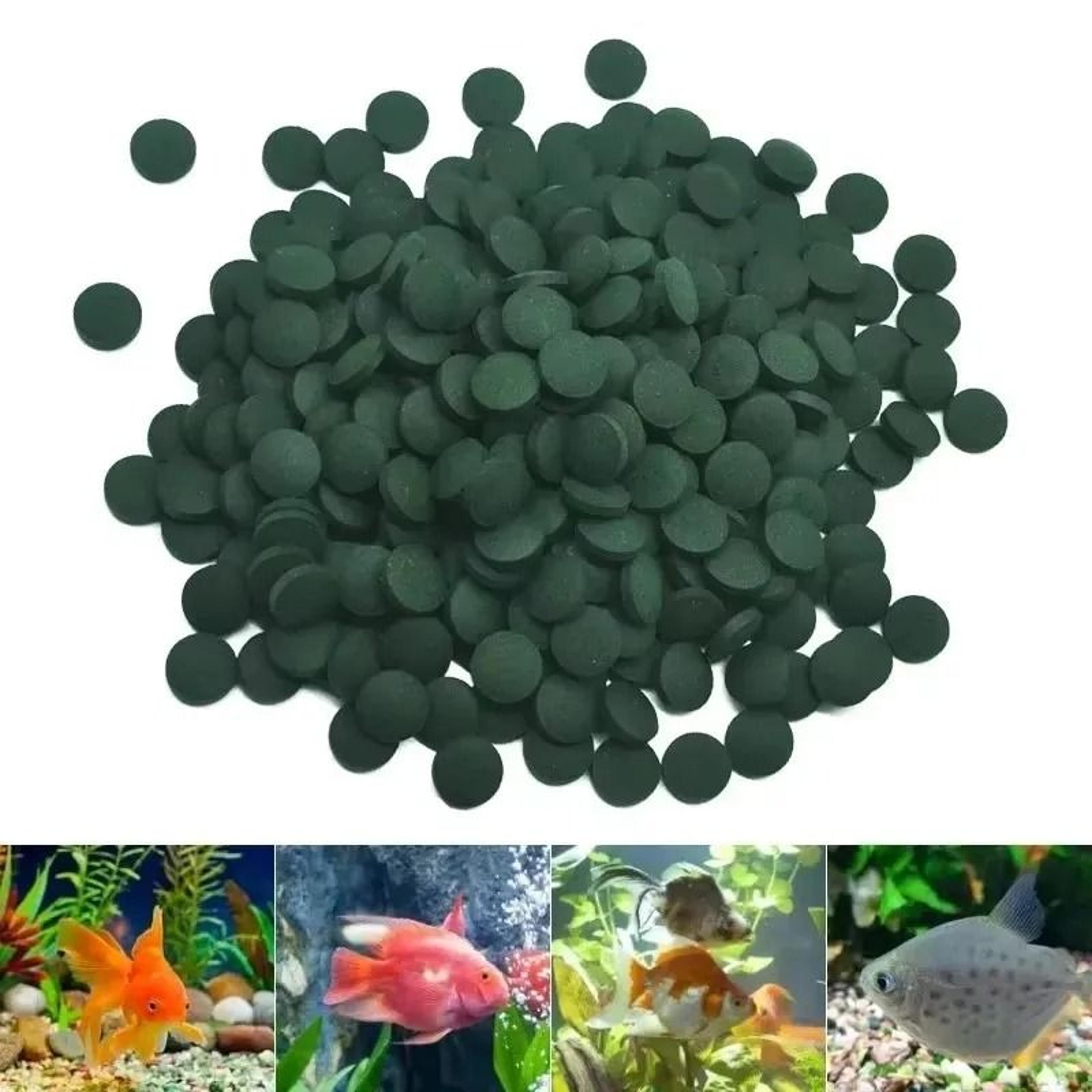 high purity spirulina tablets aquarium pet food