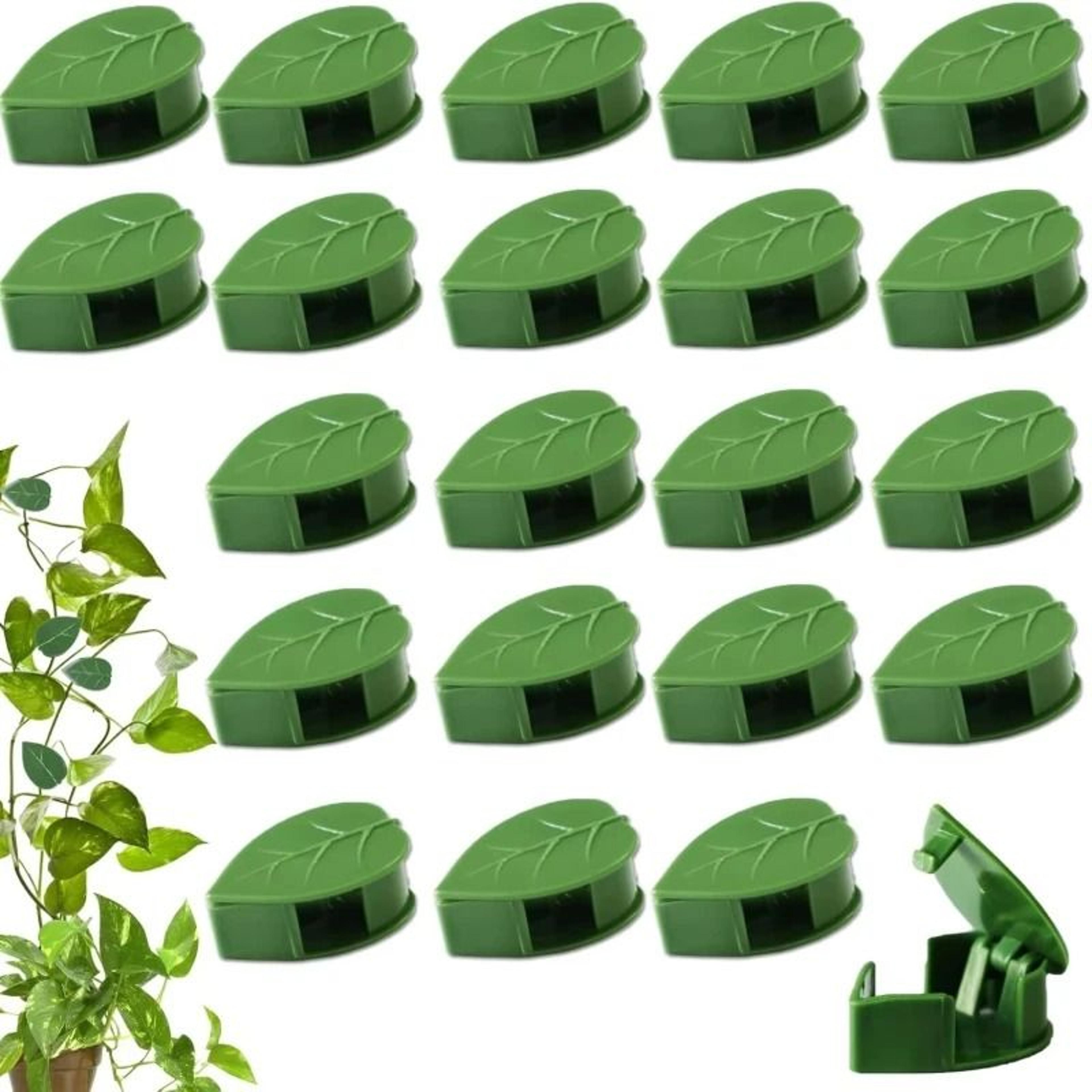 self adhesive plant climbing wall fixture clips and vine support hooks