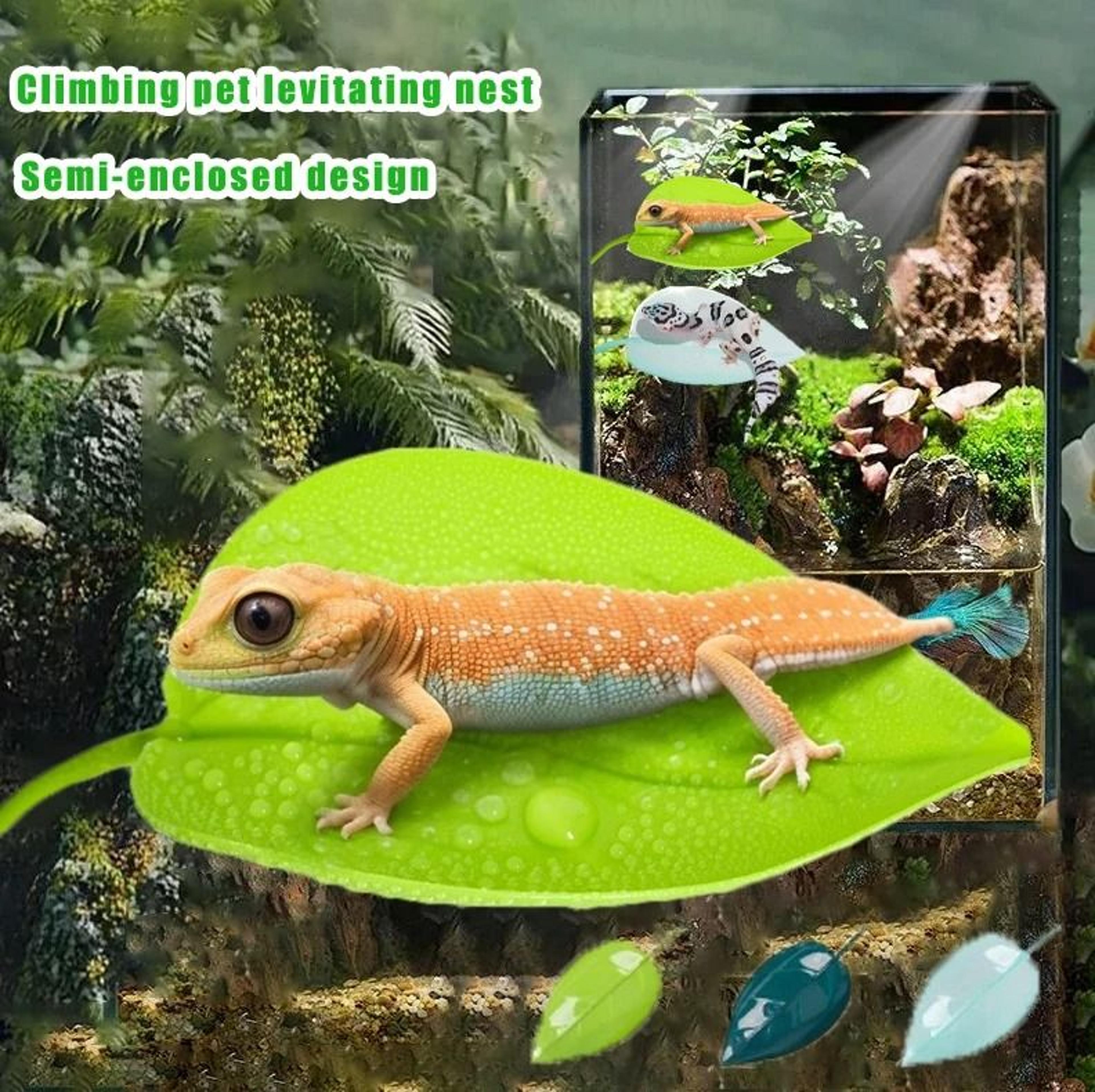 frog habitat simulated leaf resting terrace with suction cup – reptile & amphibian basking platform