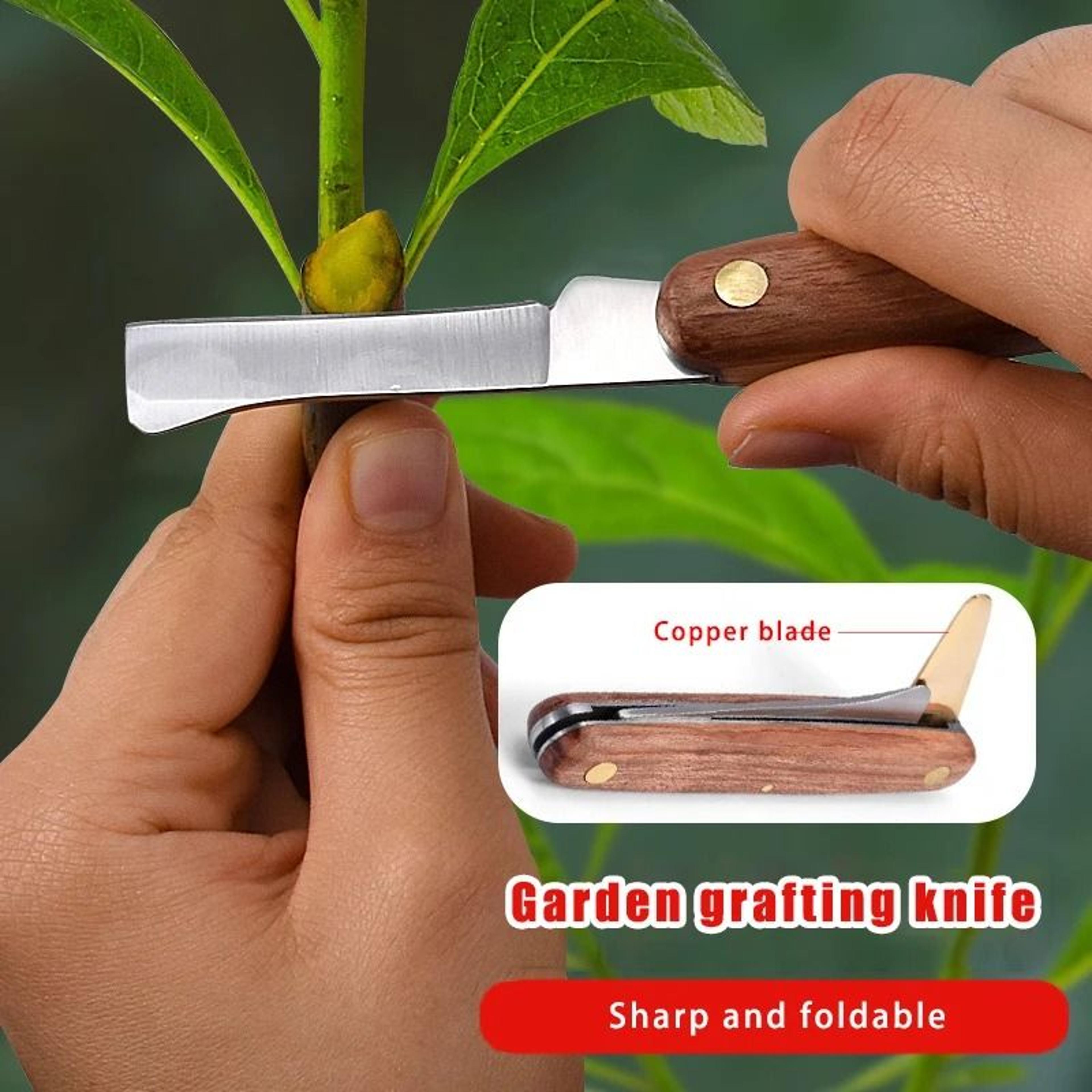 double edged grafting knife with rosewood handle – stainless steel budding tool for plant propagation