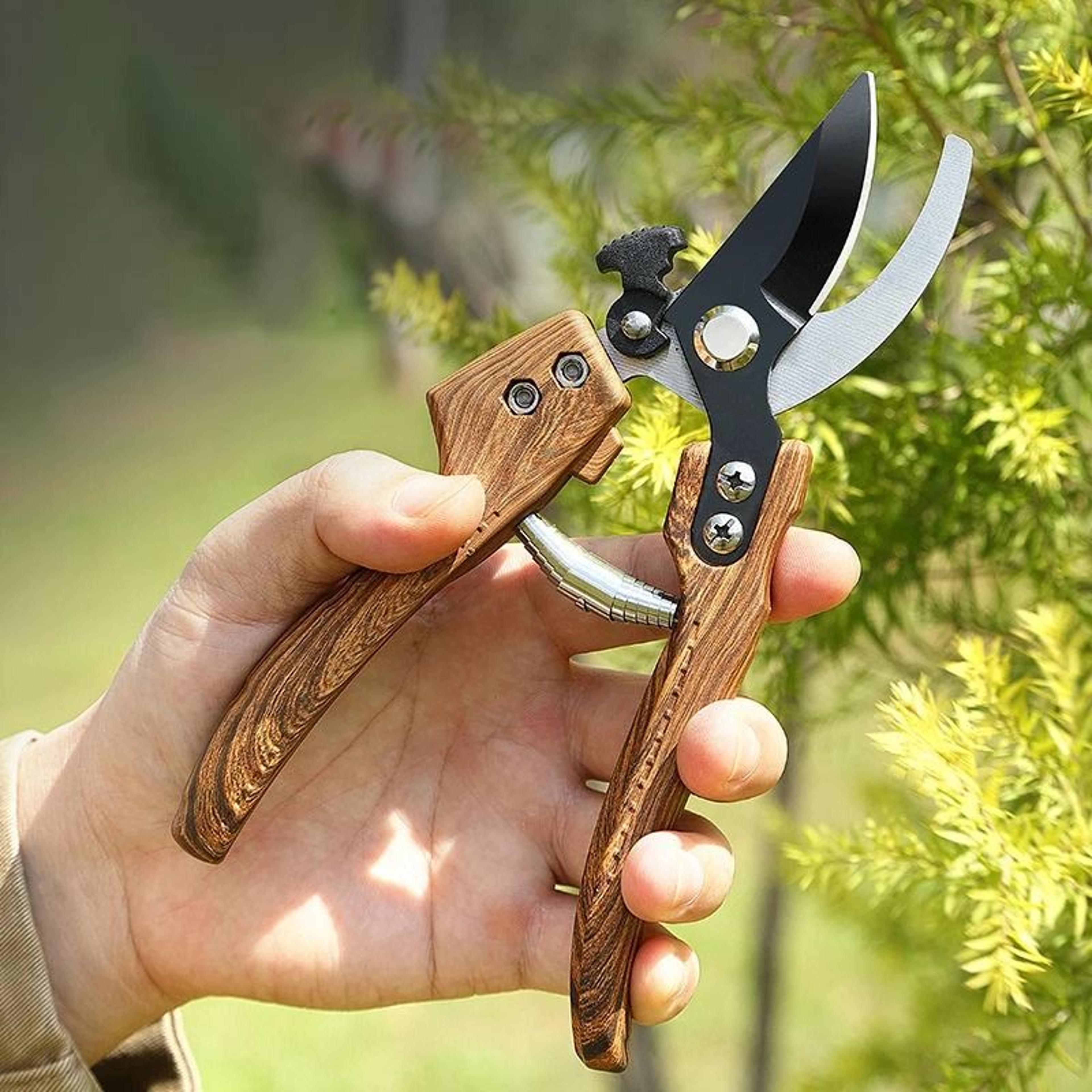 gardening pruning fruit tree shears – stainless steel garden branch scissors for bonsai and labor saving pruning