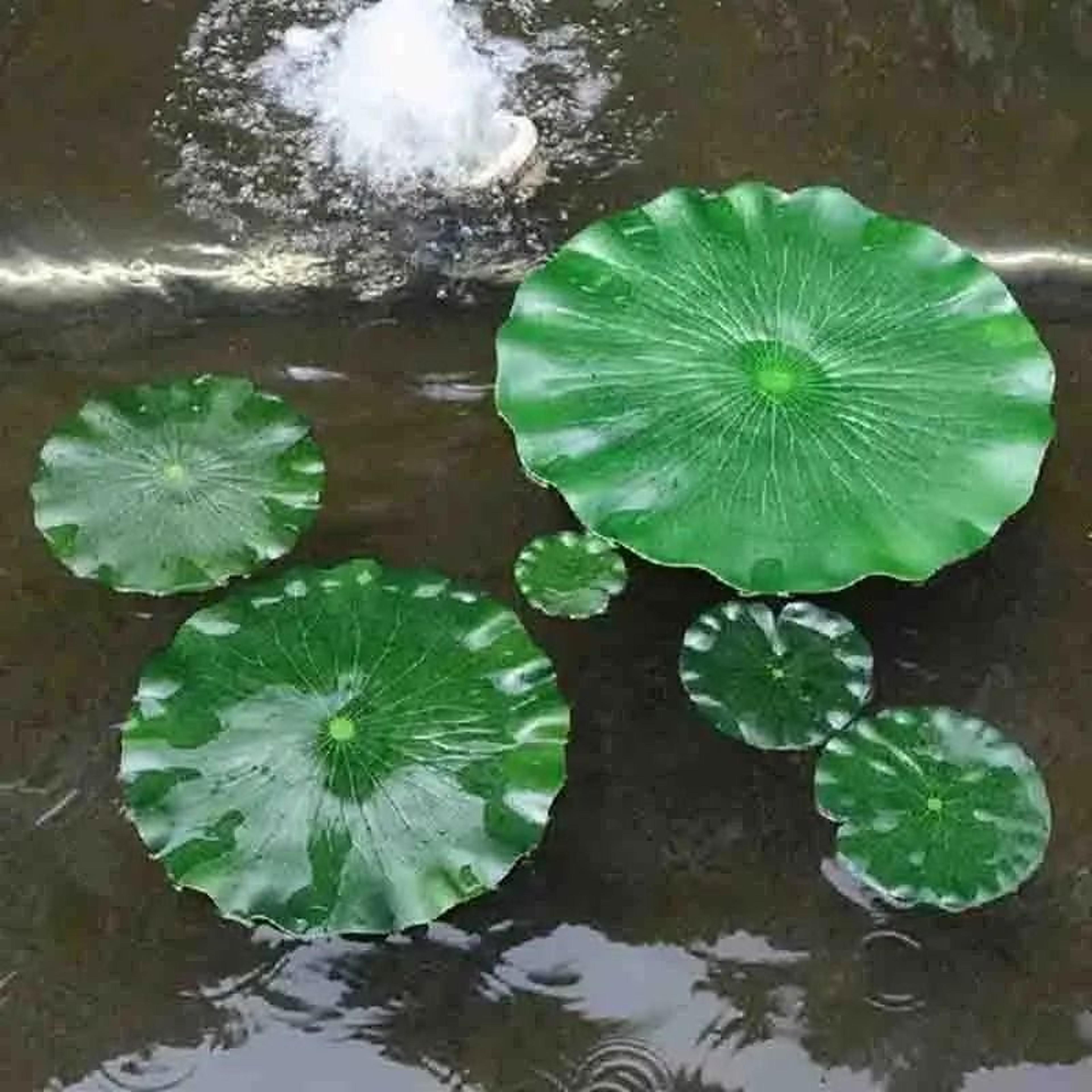 5pcs artificial lotus leaf set – floating water lily pad decor