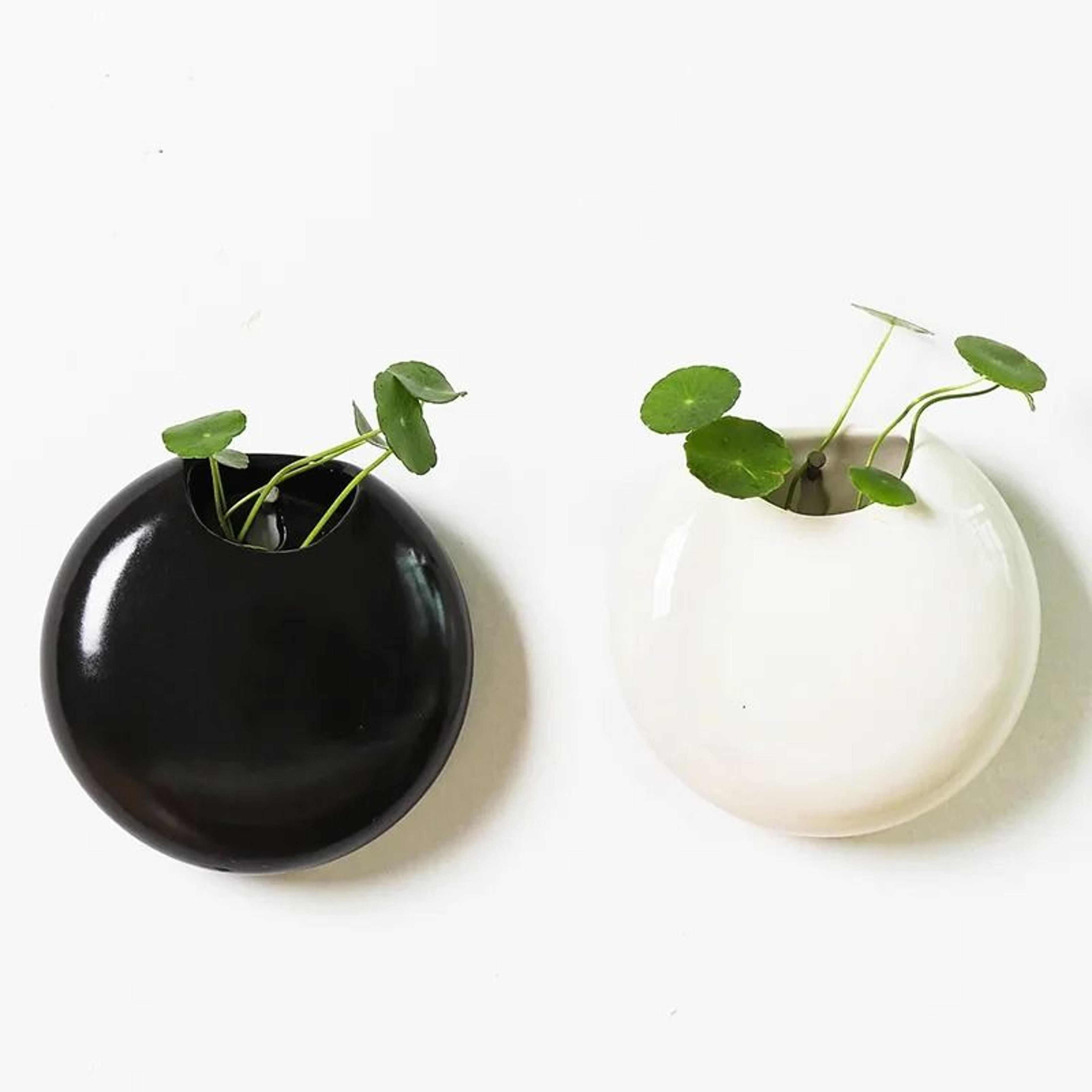 retro black & white wall-mounted ceramic planter – creative hydroponic succulent vase