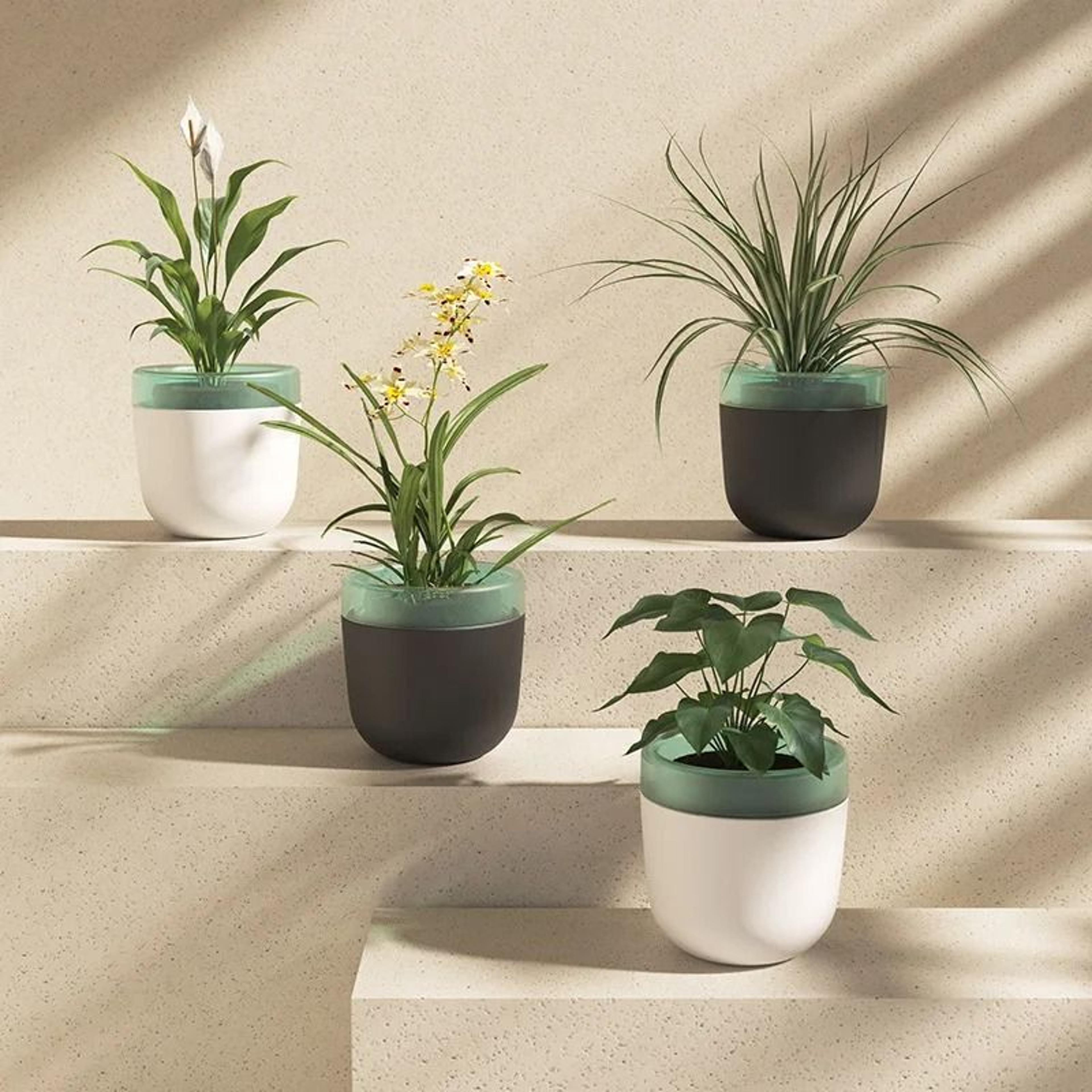 automatic self-watering hydroponic flower pot – modern desktop planter with water container