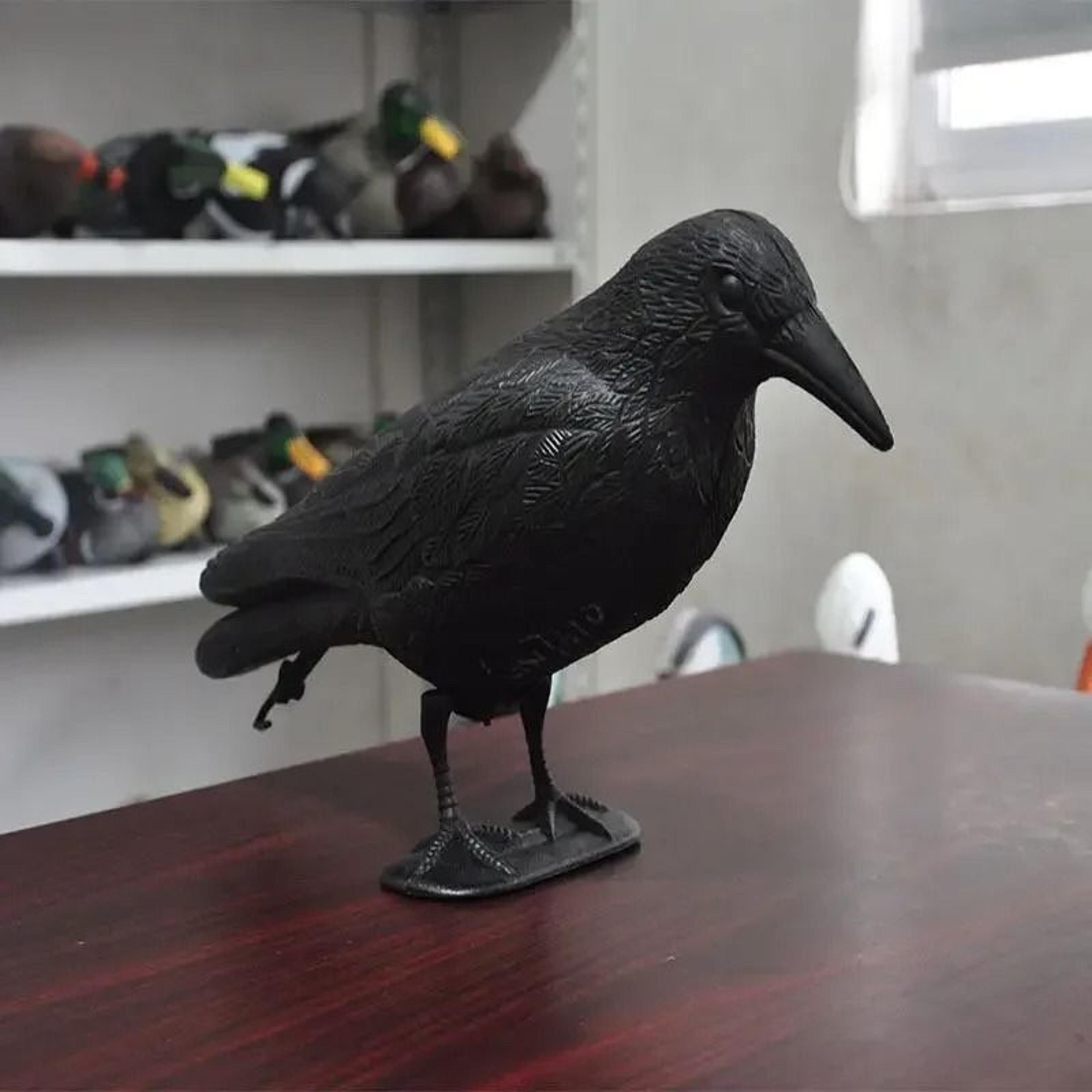 simulation black crow garden decor – outdoor realistic raven statue & natural pest control bird deterrent