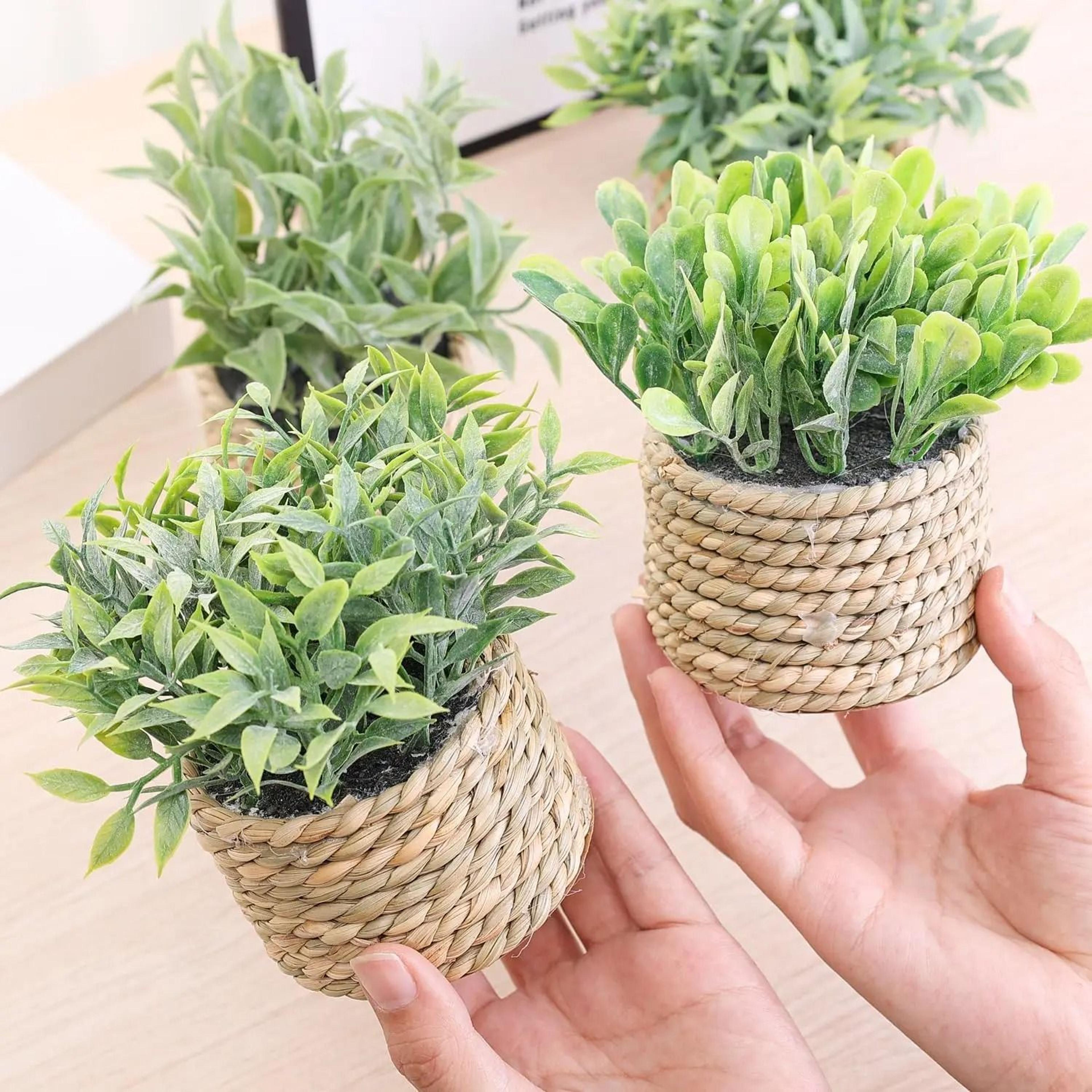 mini artificial potted eucalyptus fake greenery in grass woven pot for desk decor