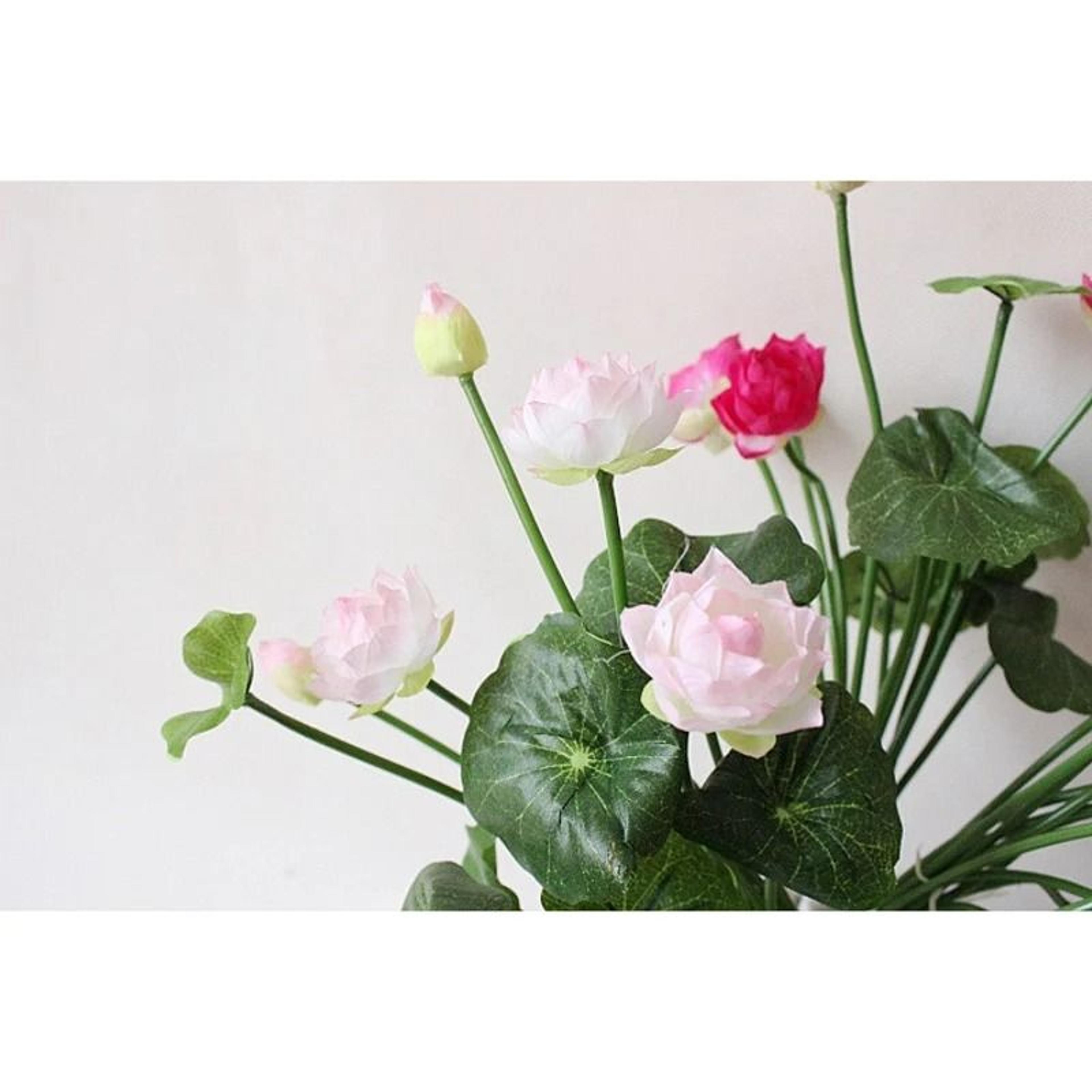 artificial fake lotus flower multiple colors realistic silk flowers for home decor