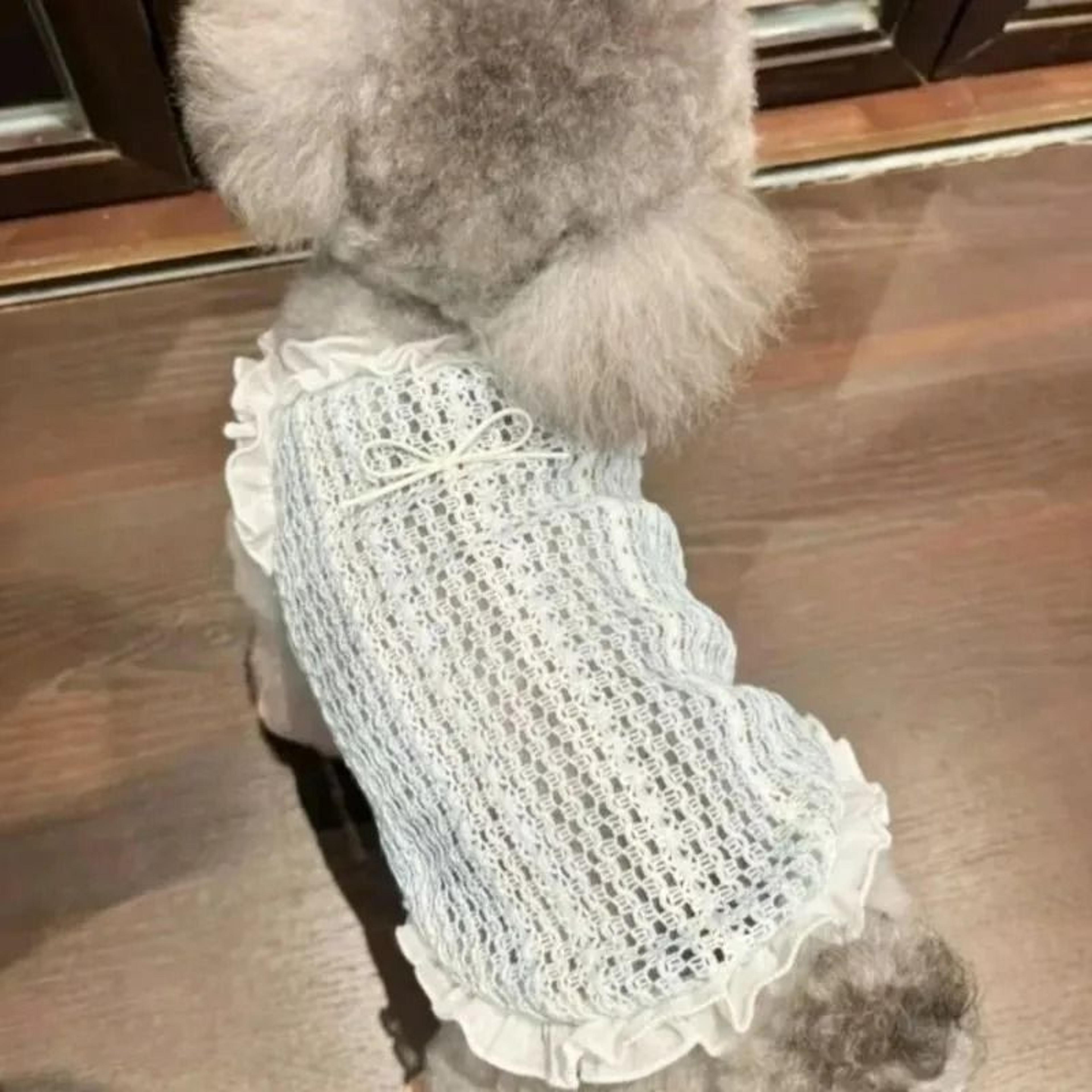 breathable summer mesh pet vest cooling sleeveless clothes for cats small dogs