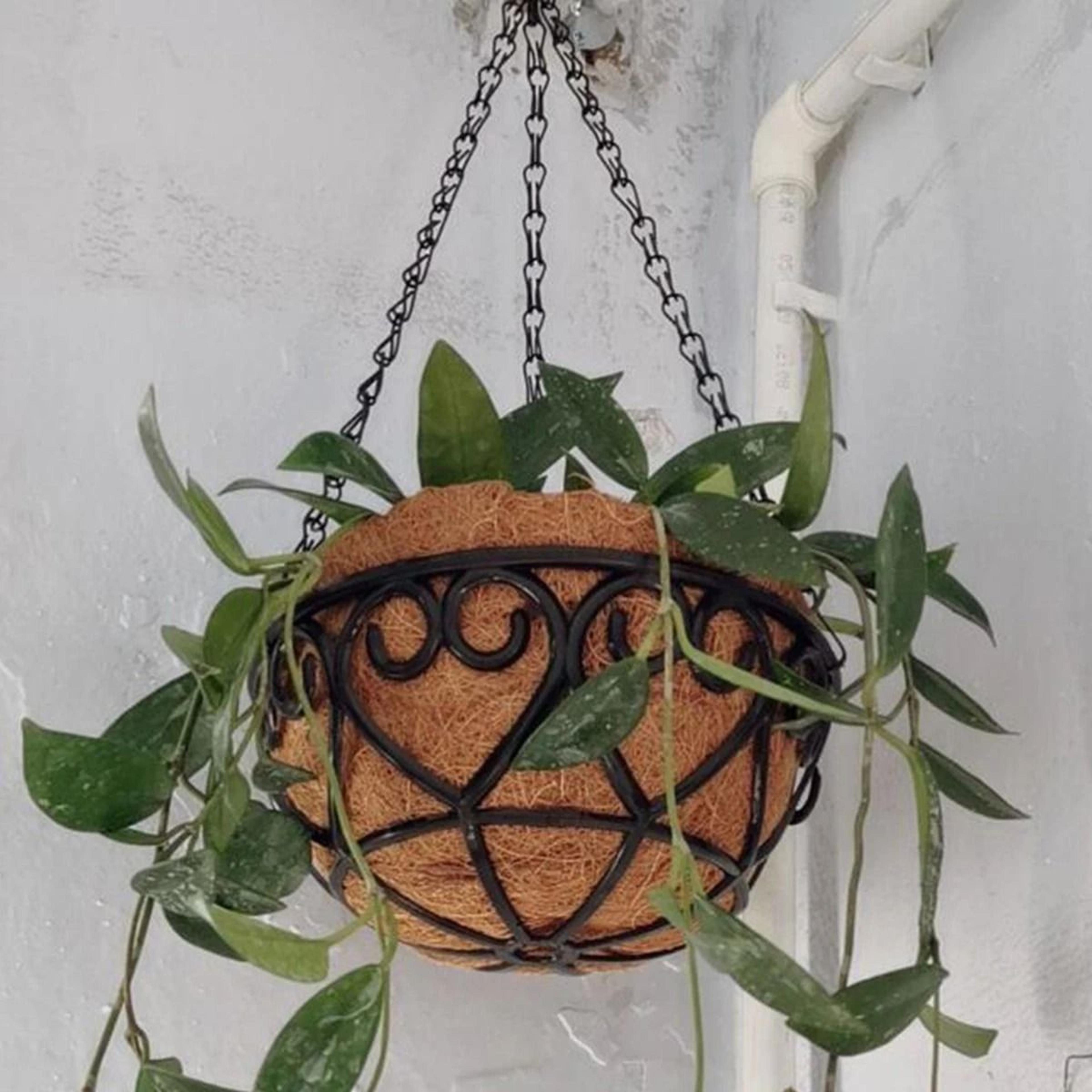 coconut coir brown round iron chain hanging basket planter for plants and flowers