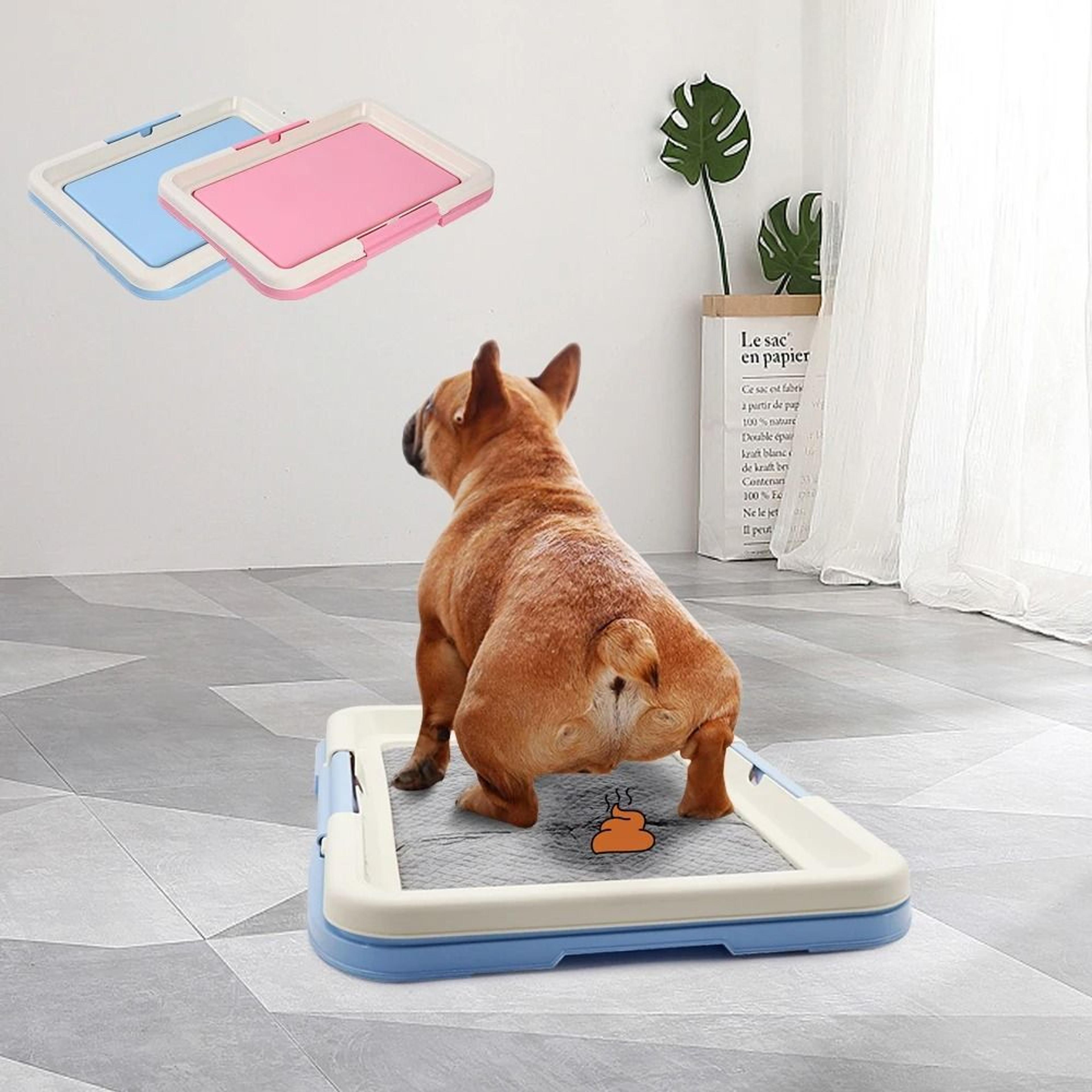 portable indoor dog training toilet and pet potty tray with puppy pad holder