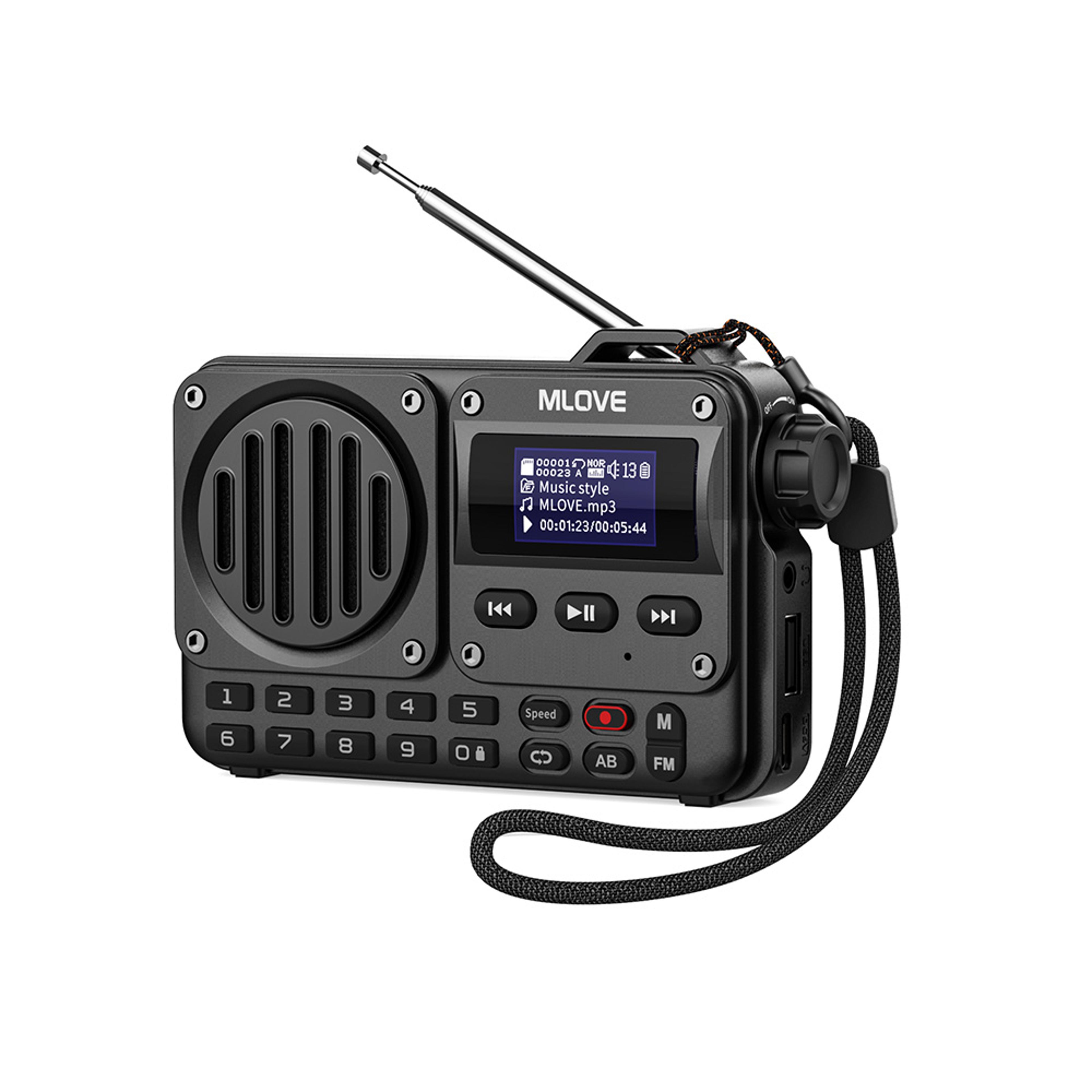 portable bluetooth speaker with fm radio lcd display player