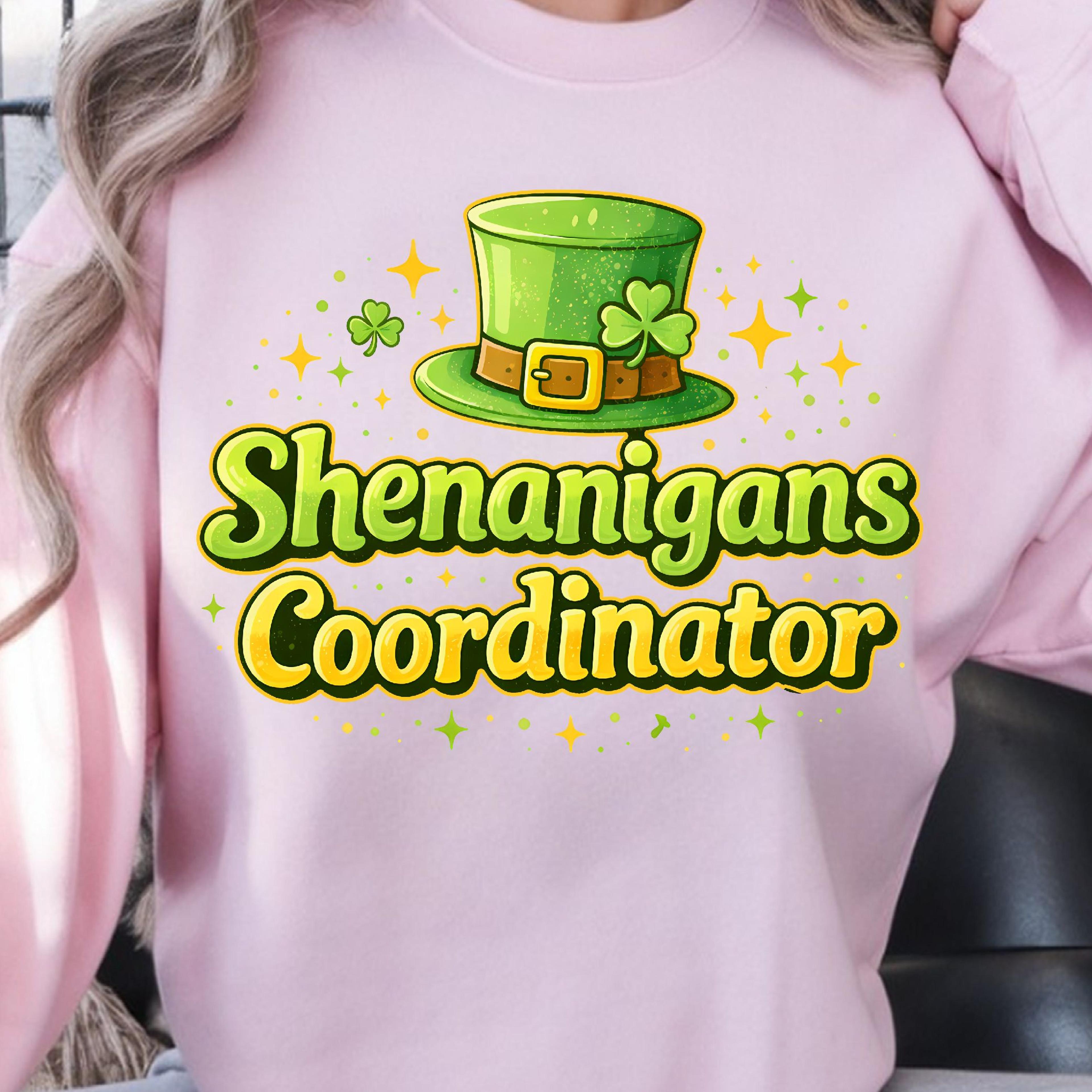 shenanigans coordinator shirt, funny t-shirt, mischief maker tee