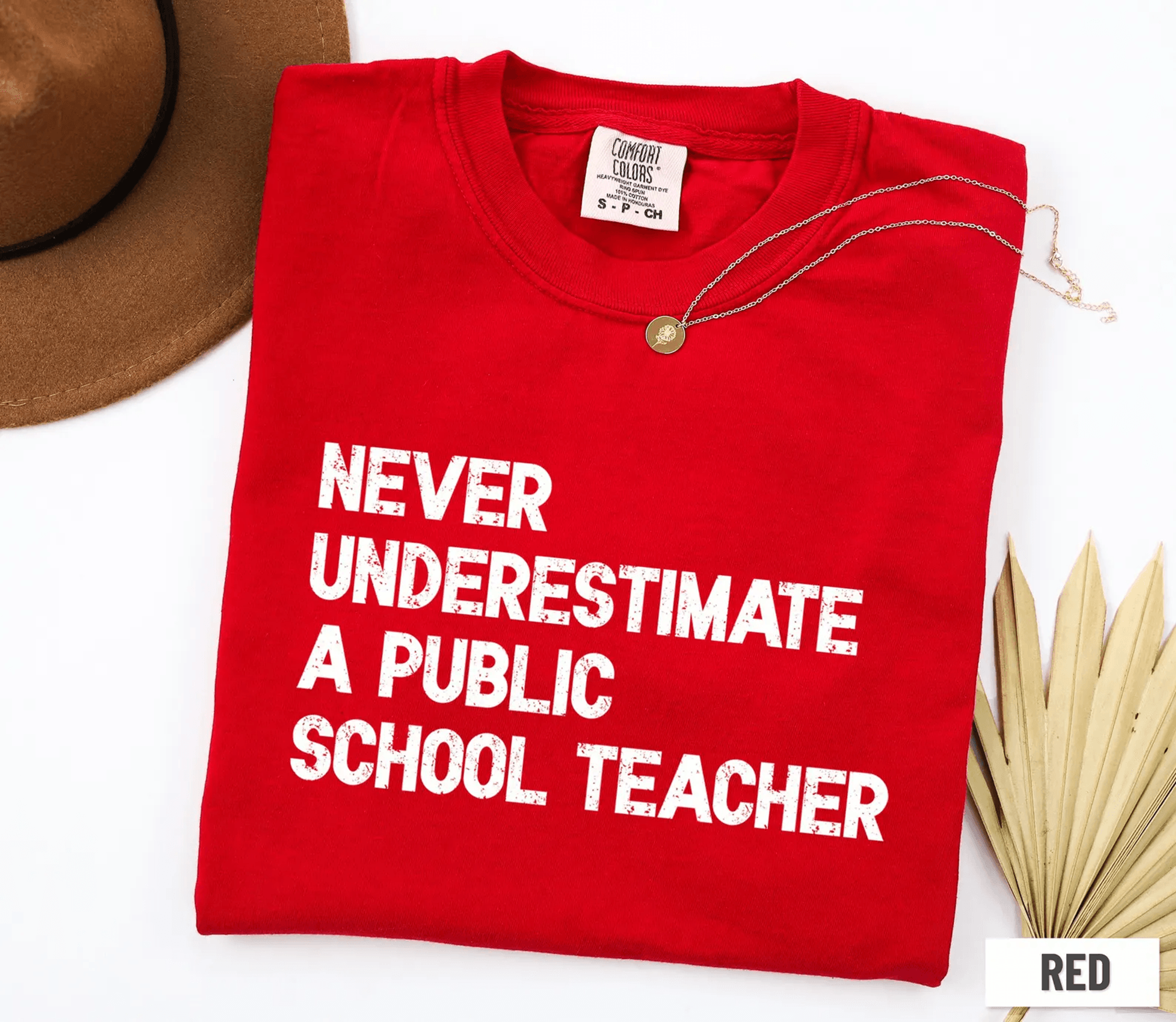 comfort colors never underestimate a public school teacher shirt | inspirational teacher appreciation tee