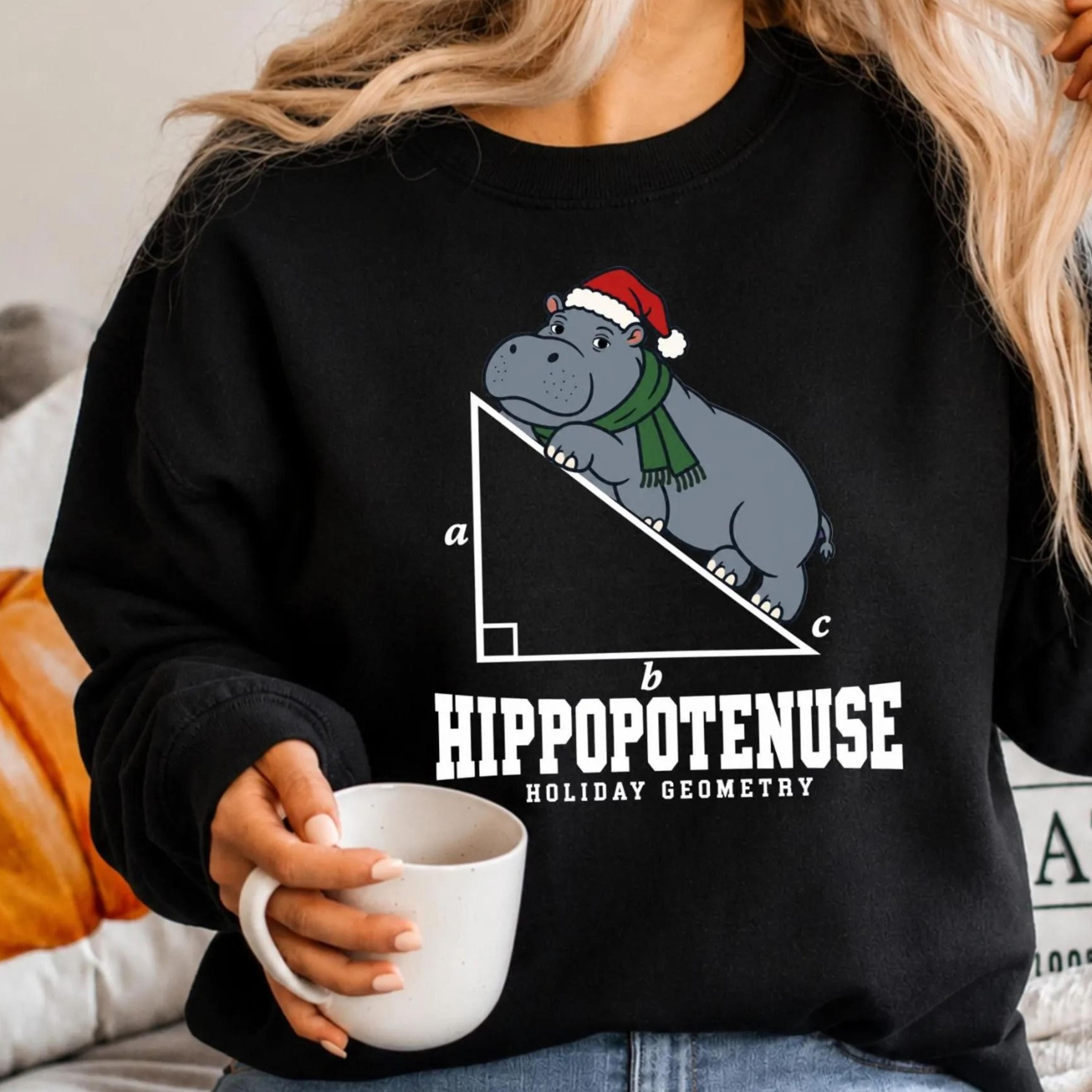 hippopotenuse christmas sweatshirt, funny math teacher sweater, geometry teacher gift, nerdy christmas crewneck, math