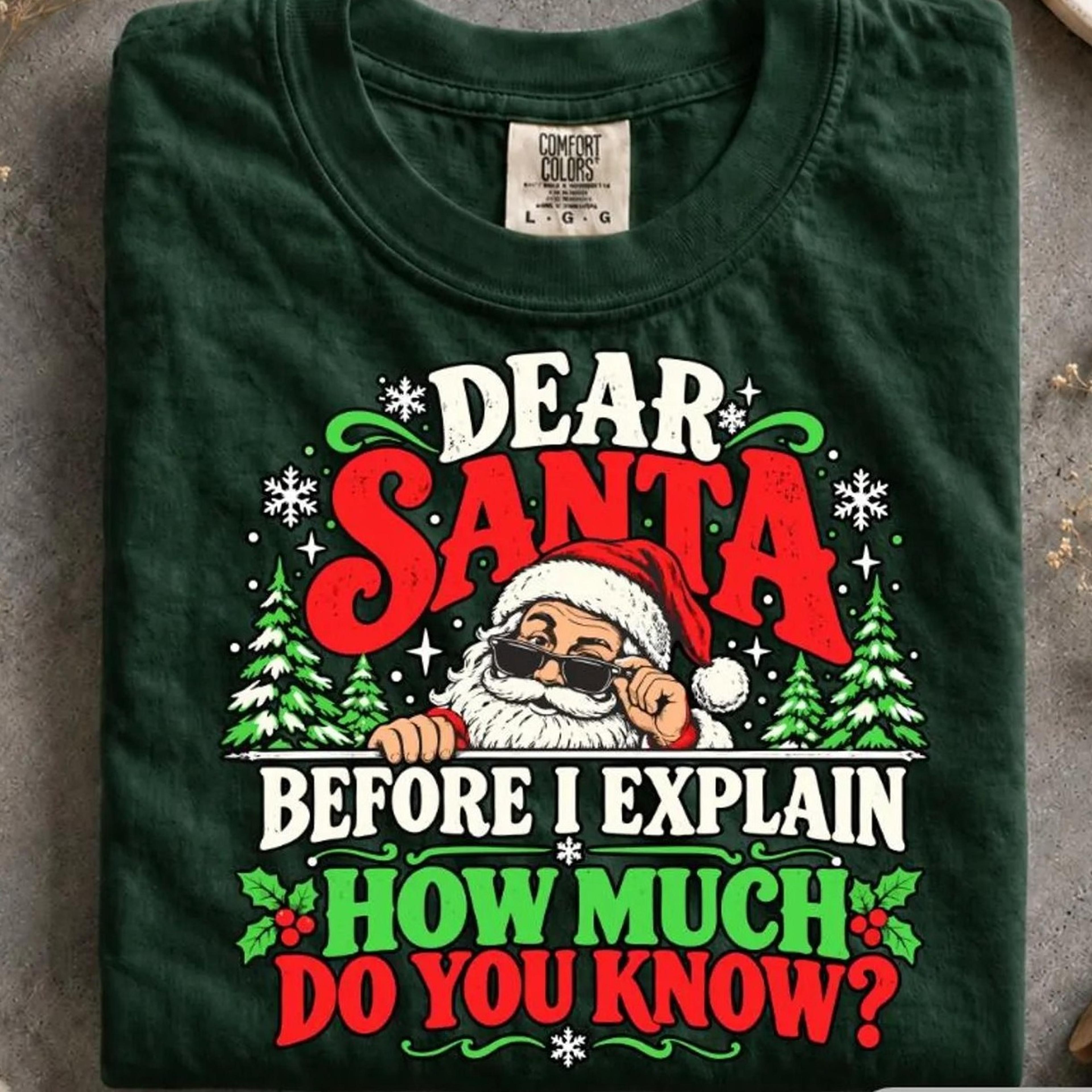 dear santa before i explain shirt, how much do you know tee, funny christmas santa shirt