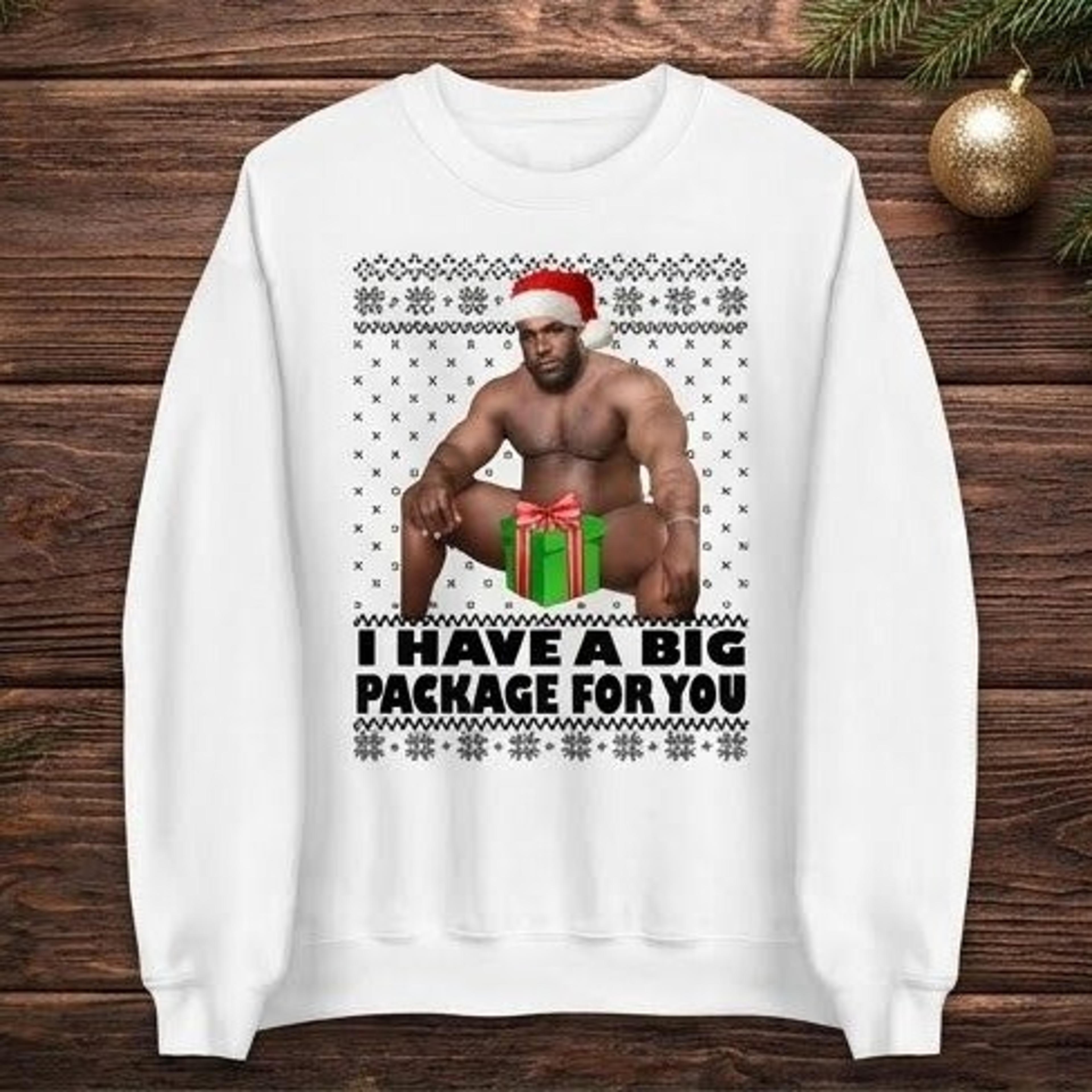 i have a big package for you funny christmas unisex sweatshirt, naughty santa holiday graphic, adult xmas party gift