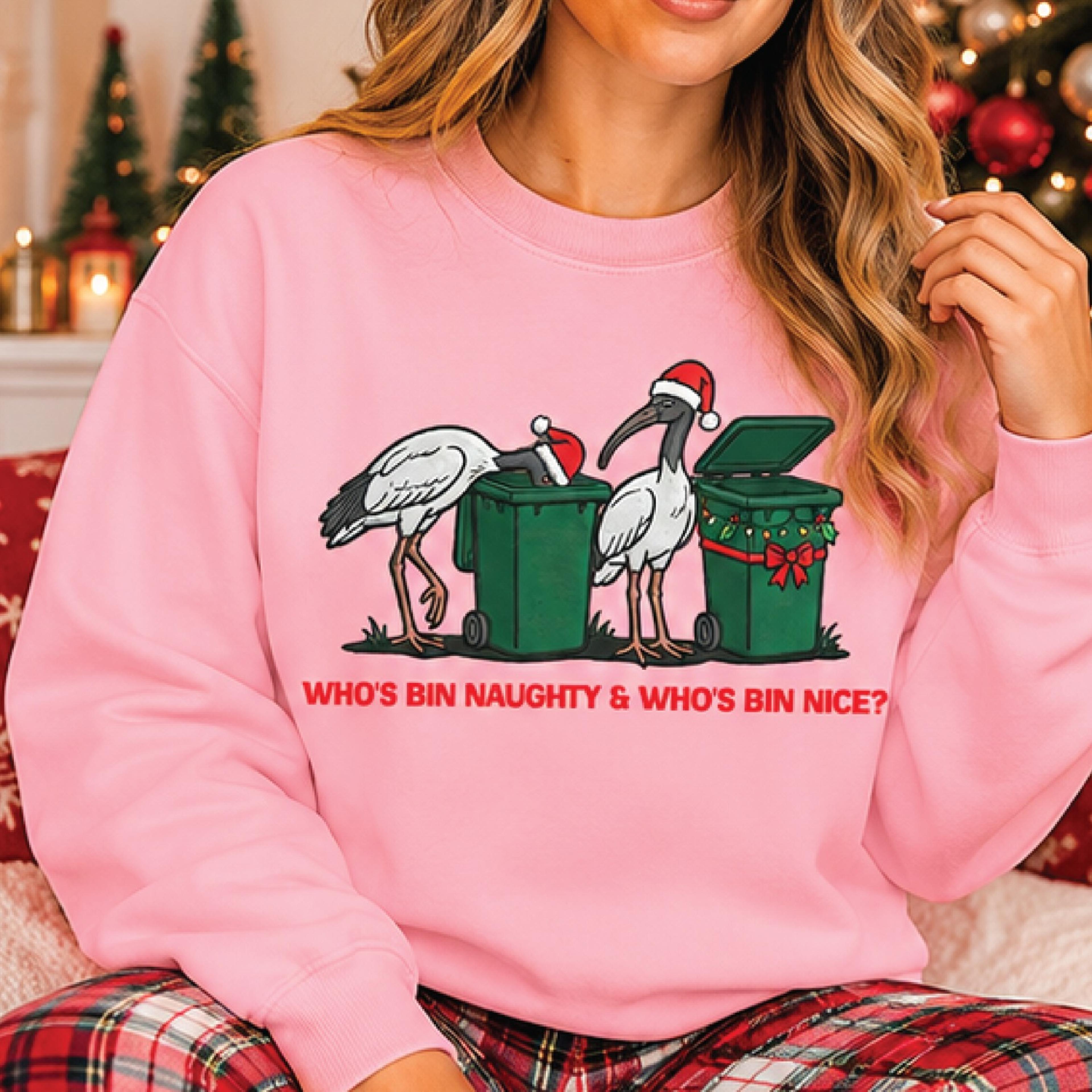 who's bin naughty and who's bin nice sweatshirt, funny christmas bird graphic, holiday trash bin humor, unisex festive