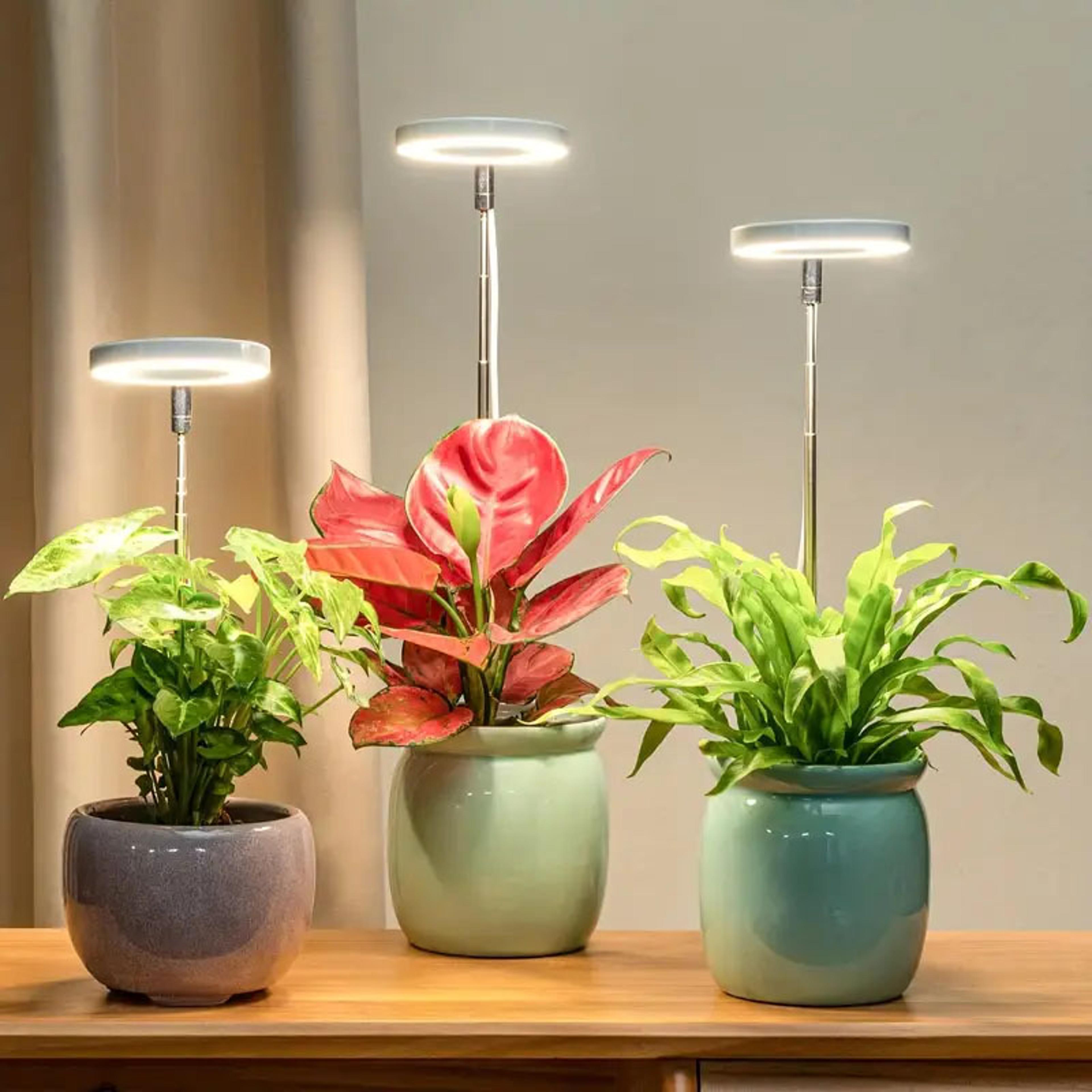 adjustable dimmable led grow light full spectrum hydroponics plant lamp for indoor growing with timer