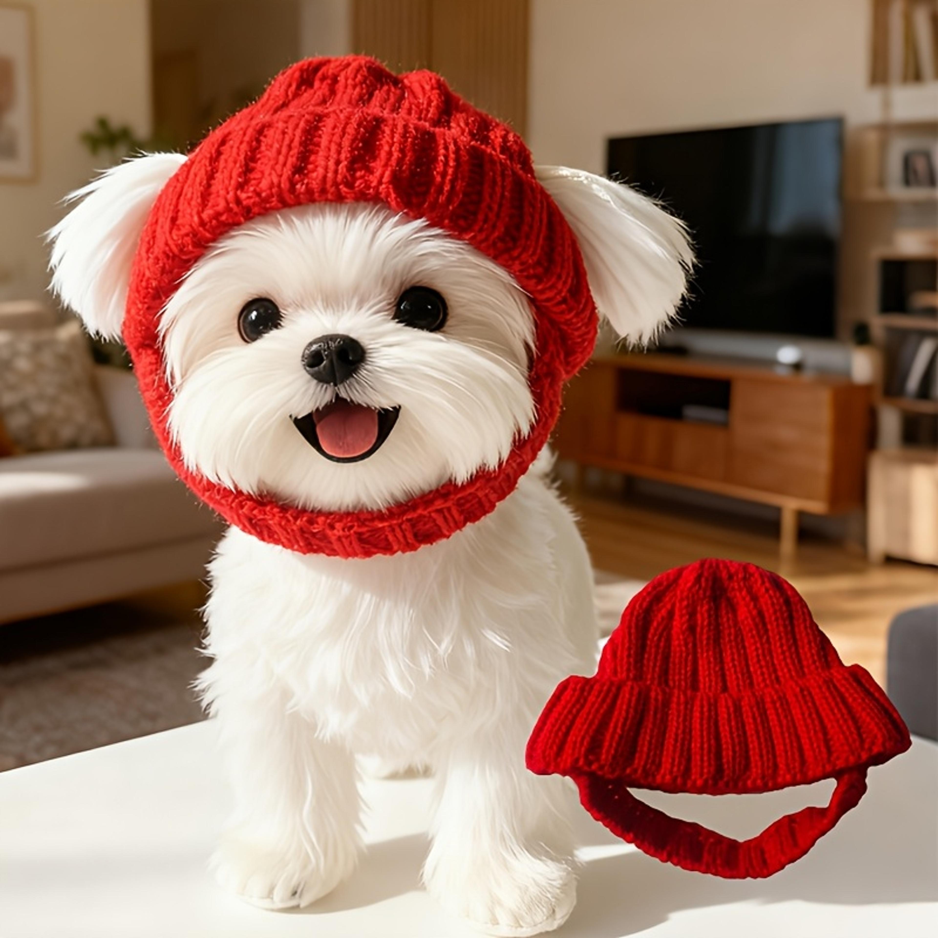 cozy soft maltese dog beanie hat with ear flaps cute playful design for small dogs red winter indoor and outdoor use