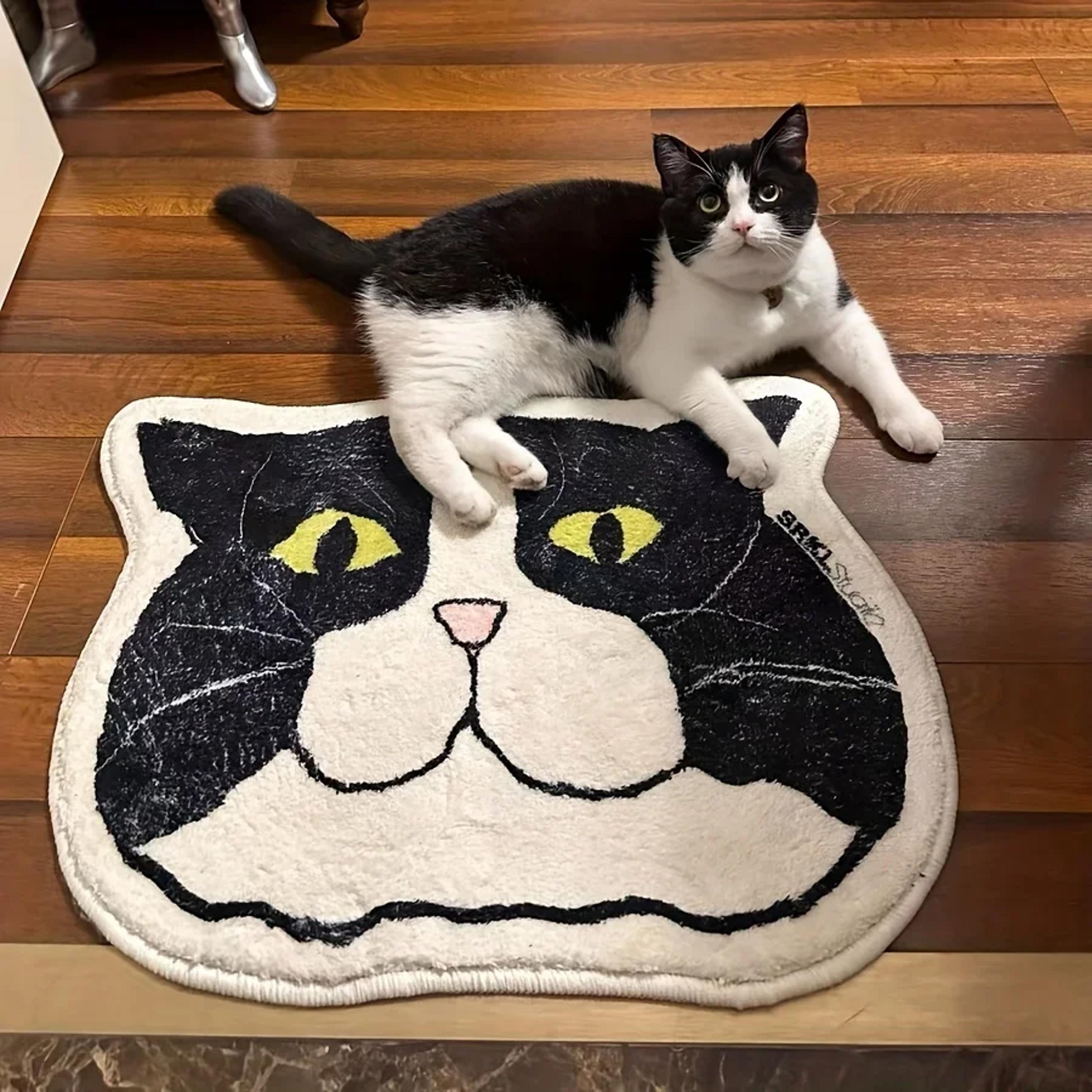waterproof anti slip cat floor mat stain resistant perfect for bathroom bedroom kitchen
