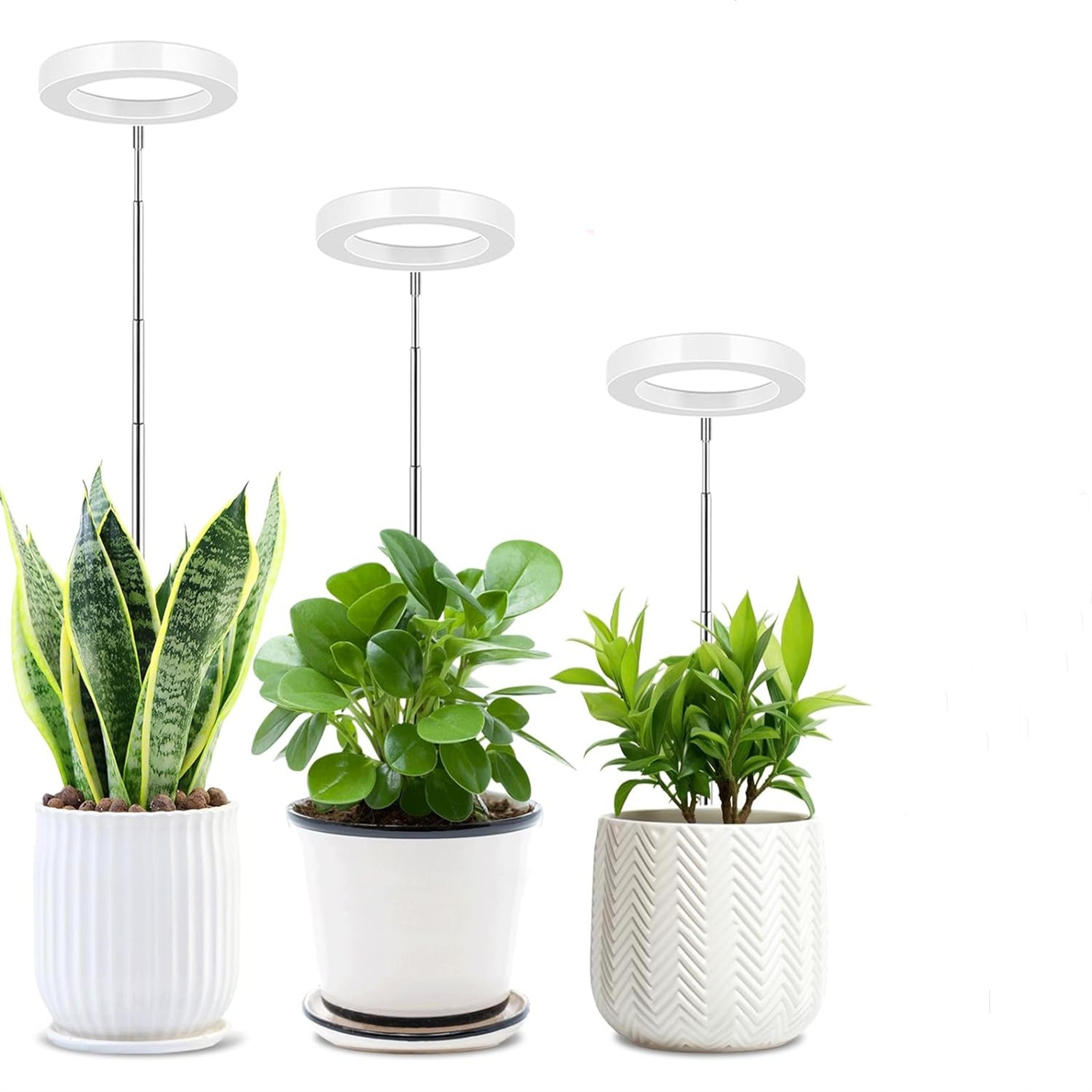 usb angel ring grow light phytolamp for plants with control full spectrum clip phyto lamp for home seedlings
