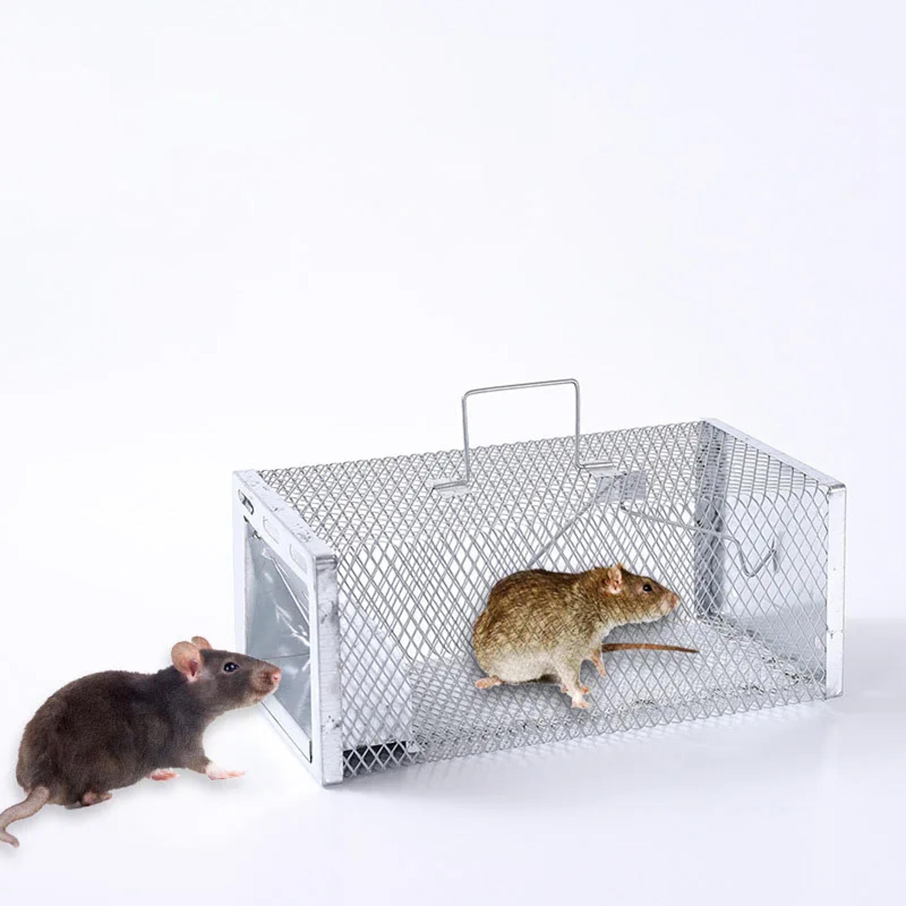 fully automatic mouse catching cage, mousetrap household metal, continuous catch rat mousetrap