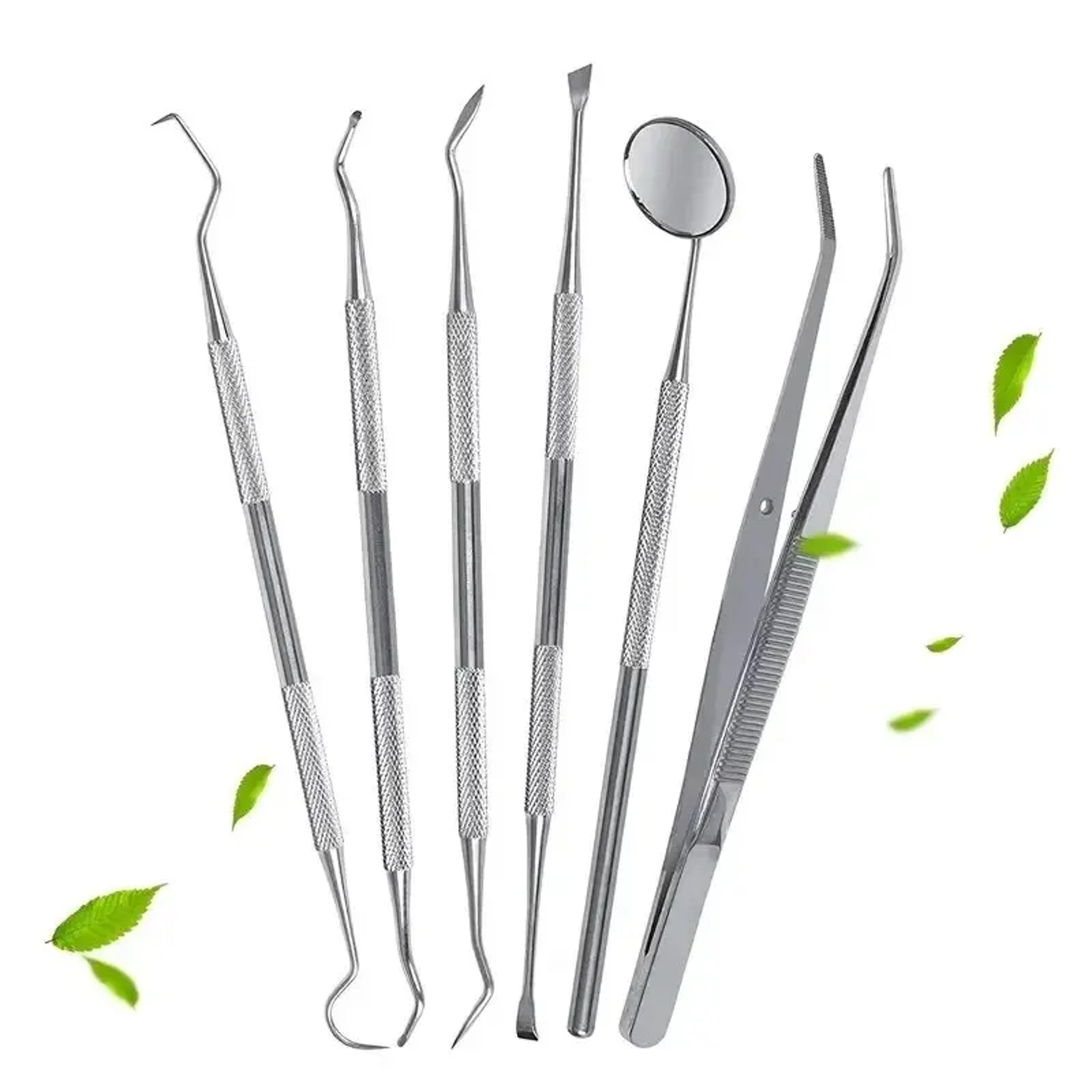 stainless steel dental tools kit for oral cleaning tartar removal flossing care mirror easy to clean