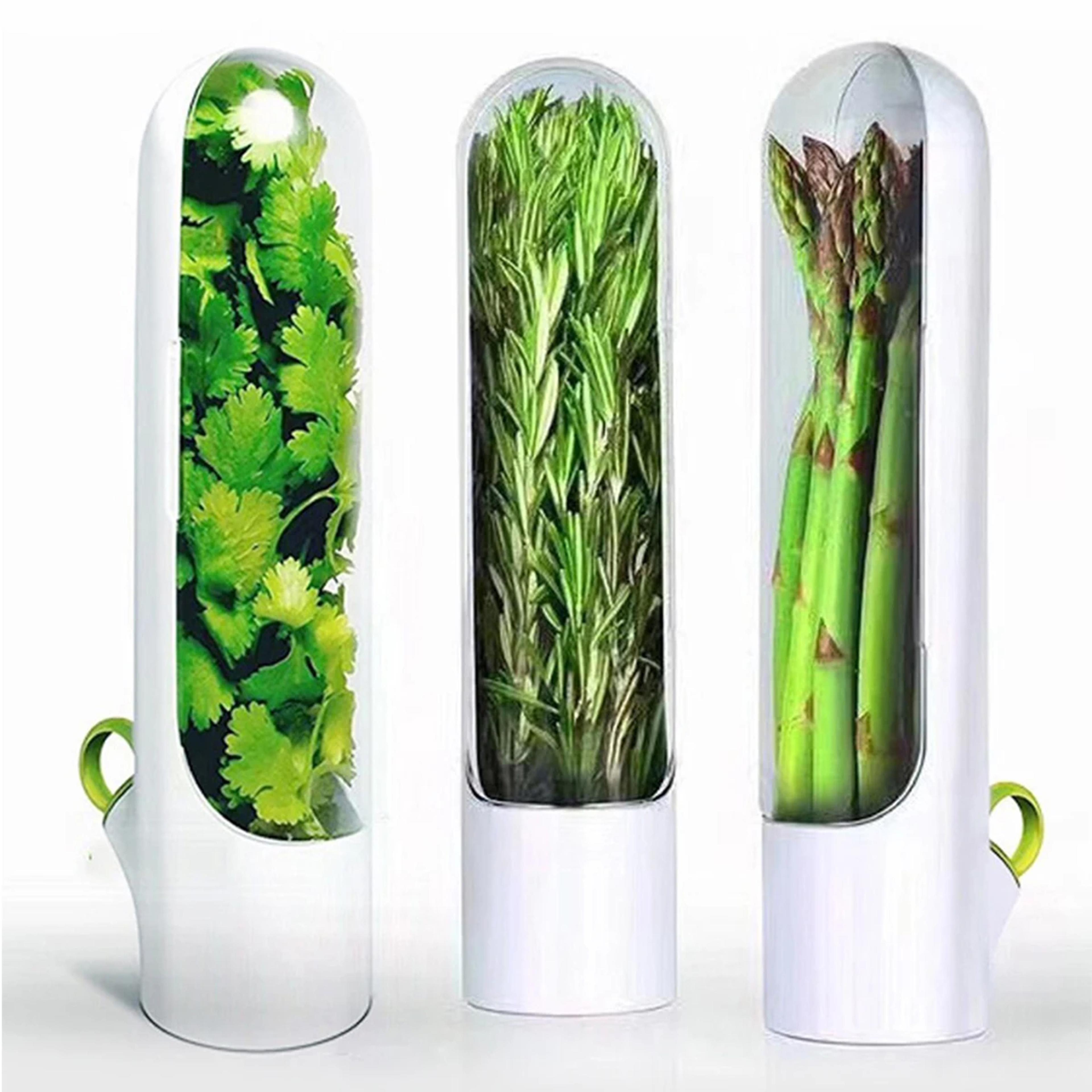 herb saver storage container fresh herb keeper for refrigerator kitchen preservation