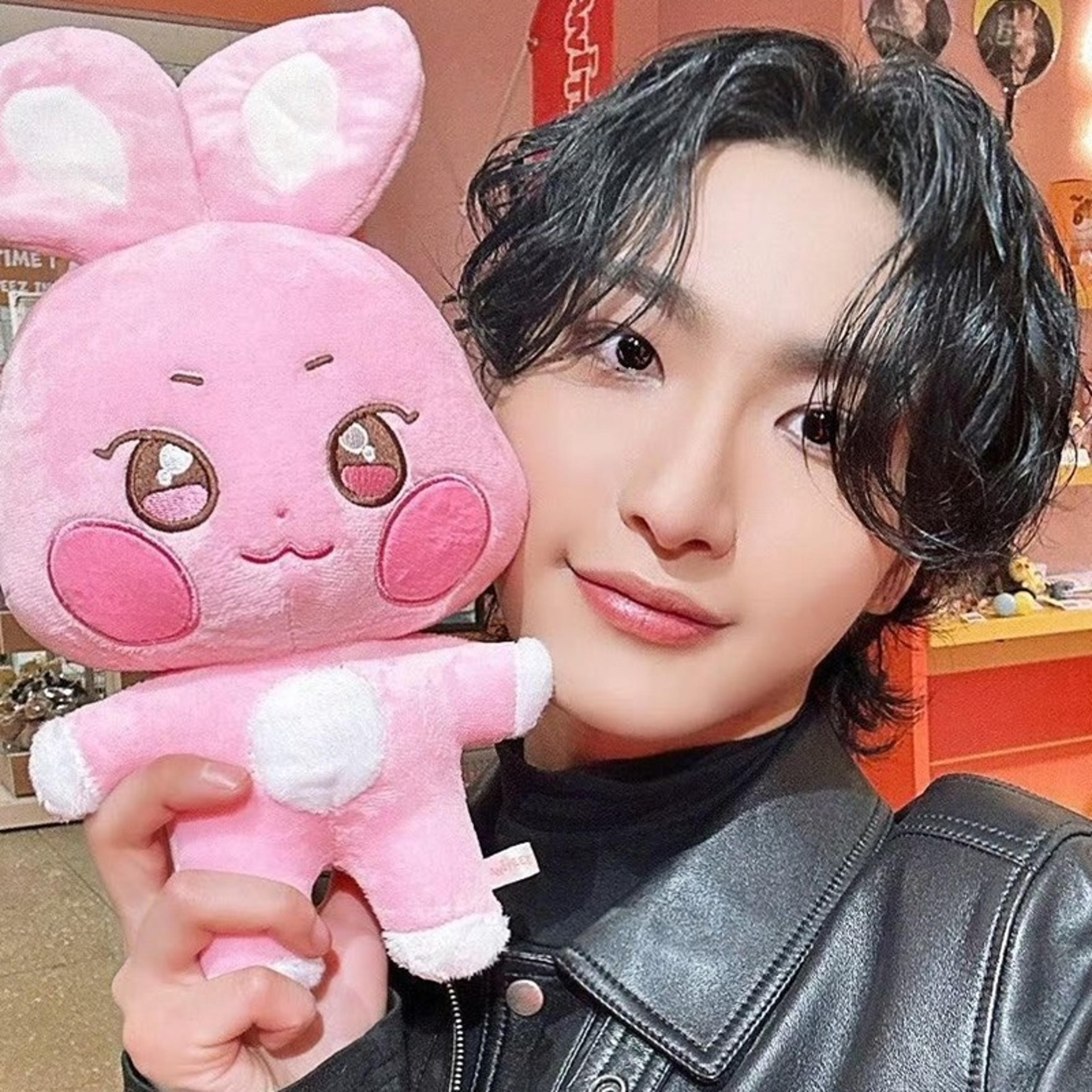kpop plushies stuffed animal toy soft & cute room decor