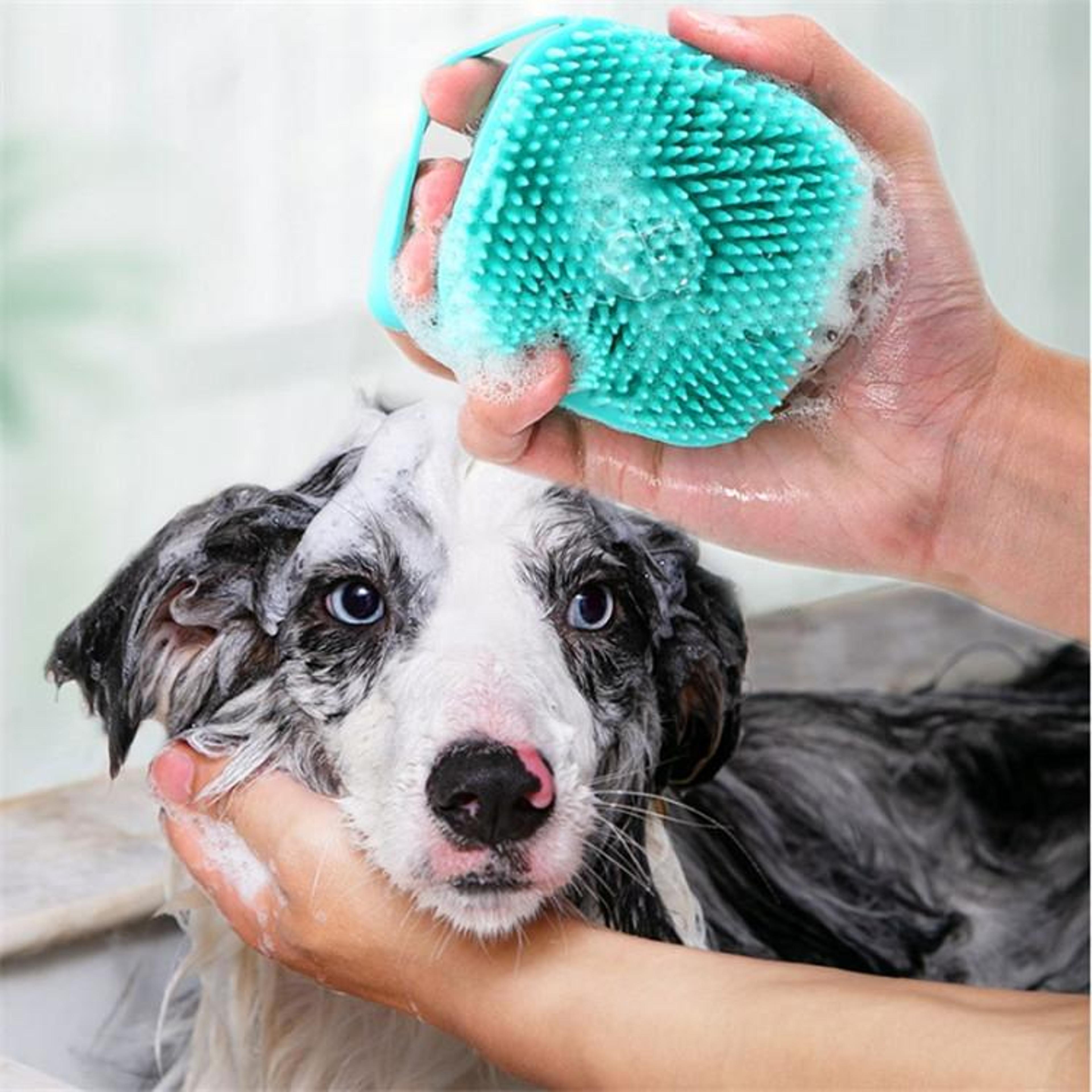 silicone pet bath massage brush gloves for dogs & cats gentle grooming & deep clean