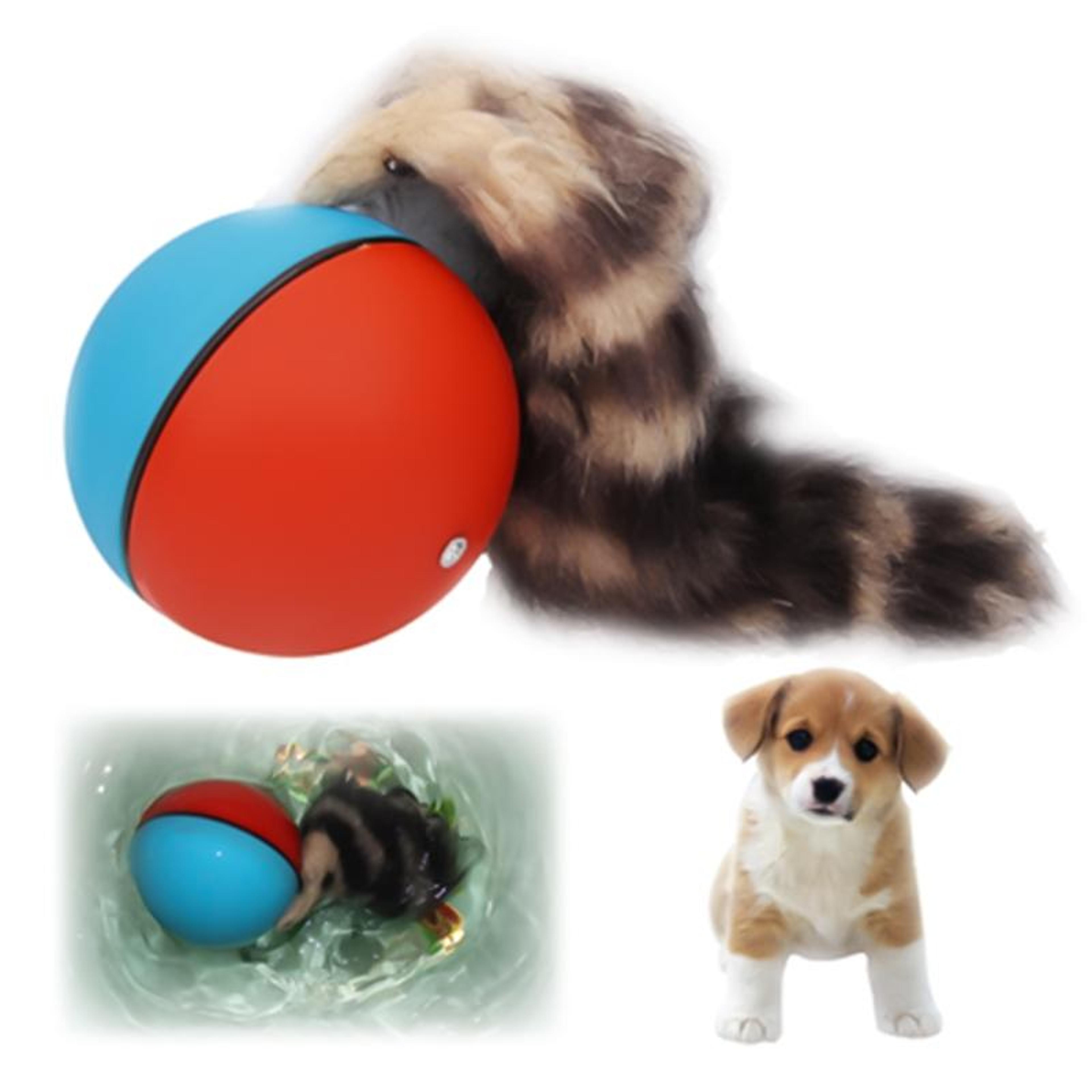 smart interactive rolling ball toy for dogs & cats self moving pet play ball